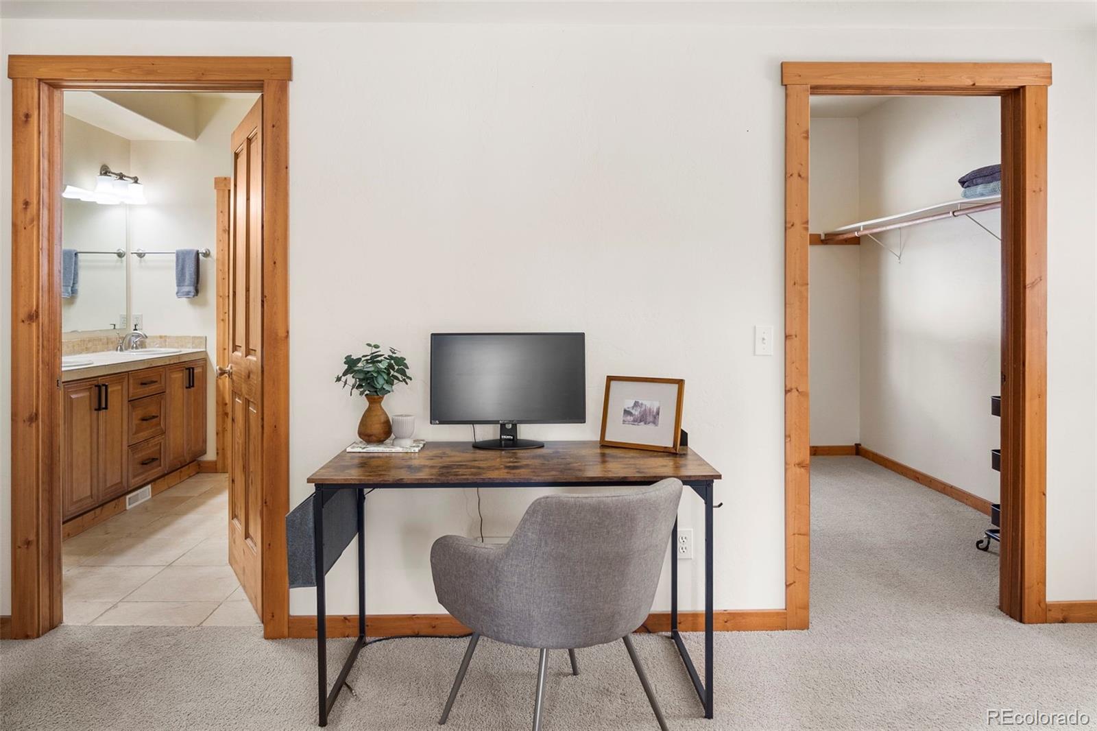 MLS Image #11 for 1564  valley of the sun drive,fairplay, Colorado