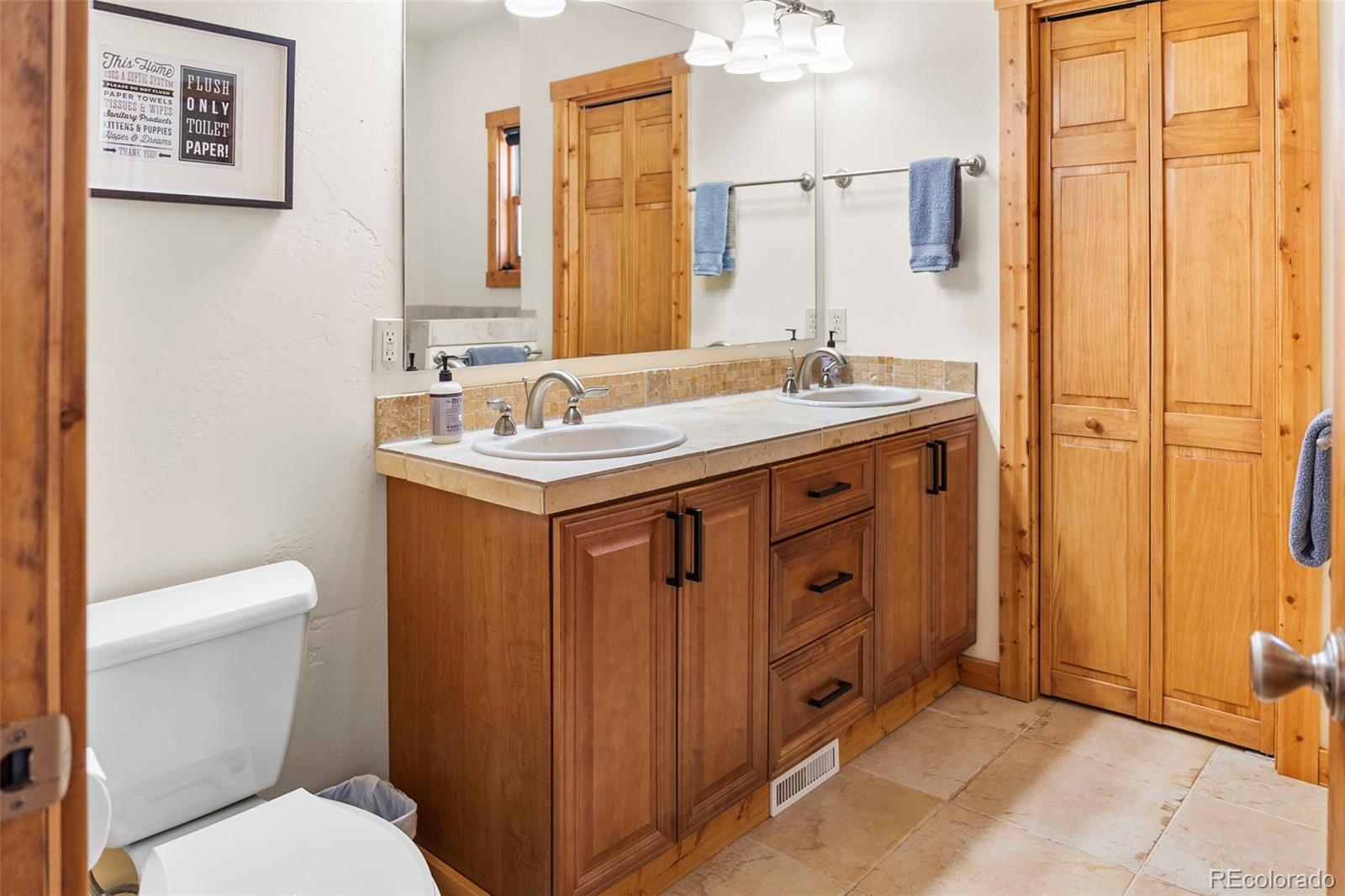 MLS Image #12 for 1564  valley of the sun drive,fairplay, Colorado