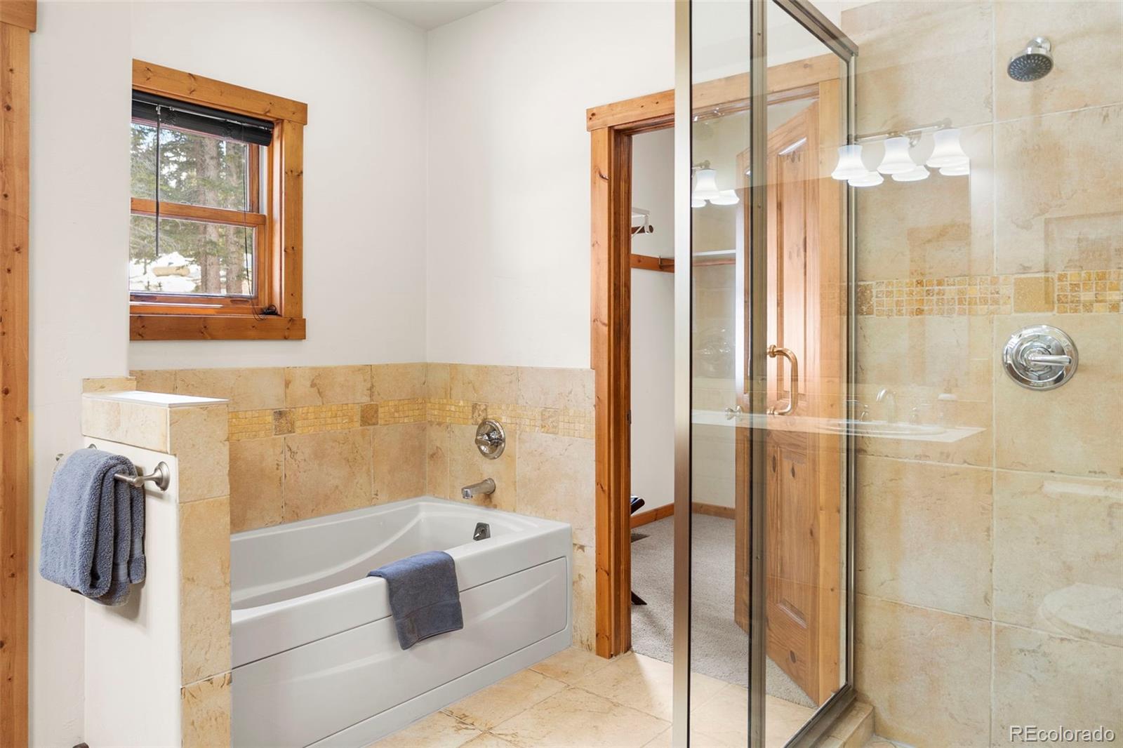 MLS Image #13 for 1564  valley of the sun drive,fairplay, Colorado