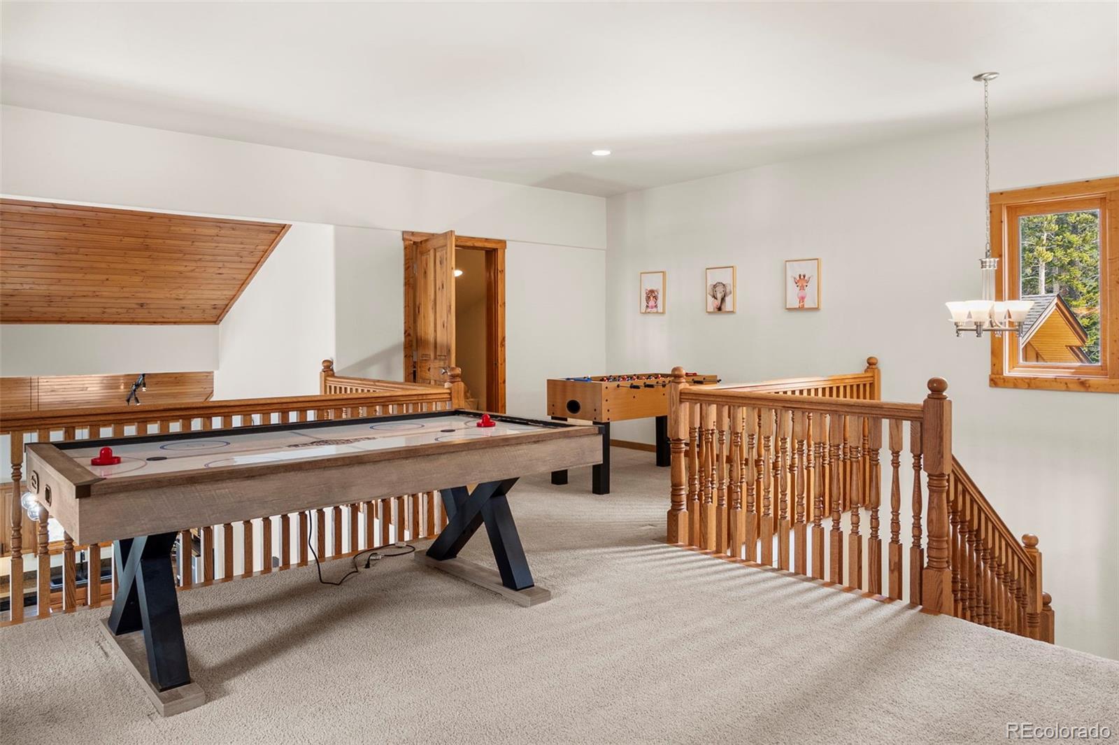 MLS Image #15 for 1564  valley of the sun drive,fairplay, Colorado