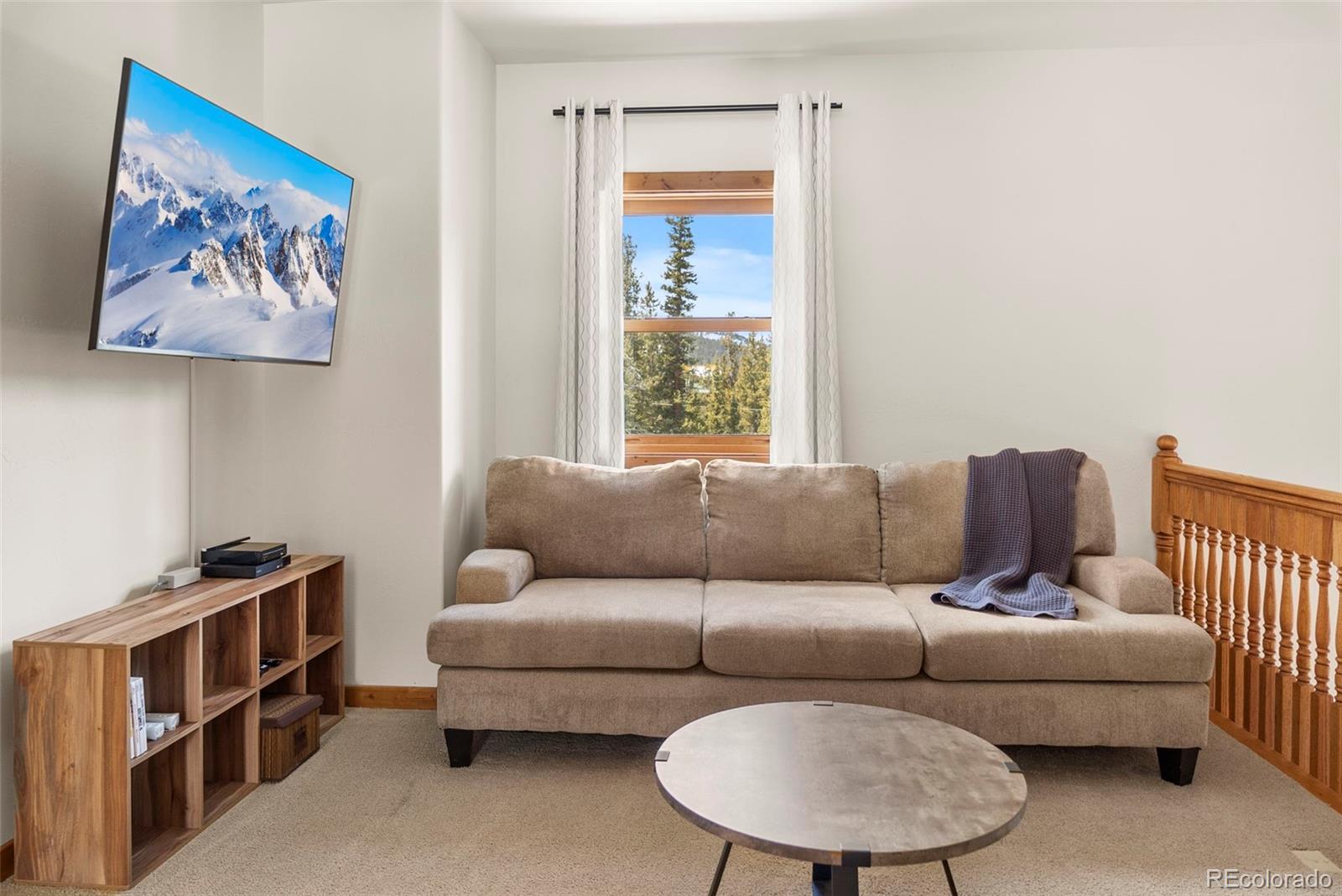 MLS Image #18 for 1564  valley of the sun drive,fairplay, Colorado