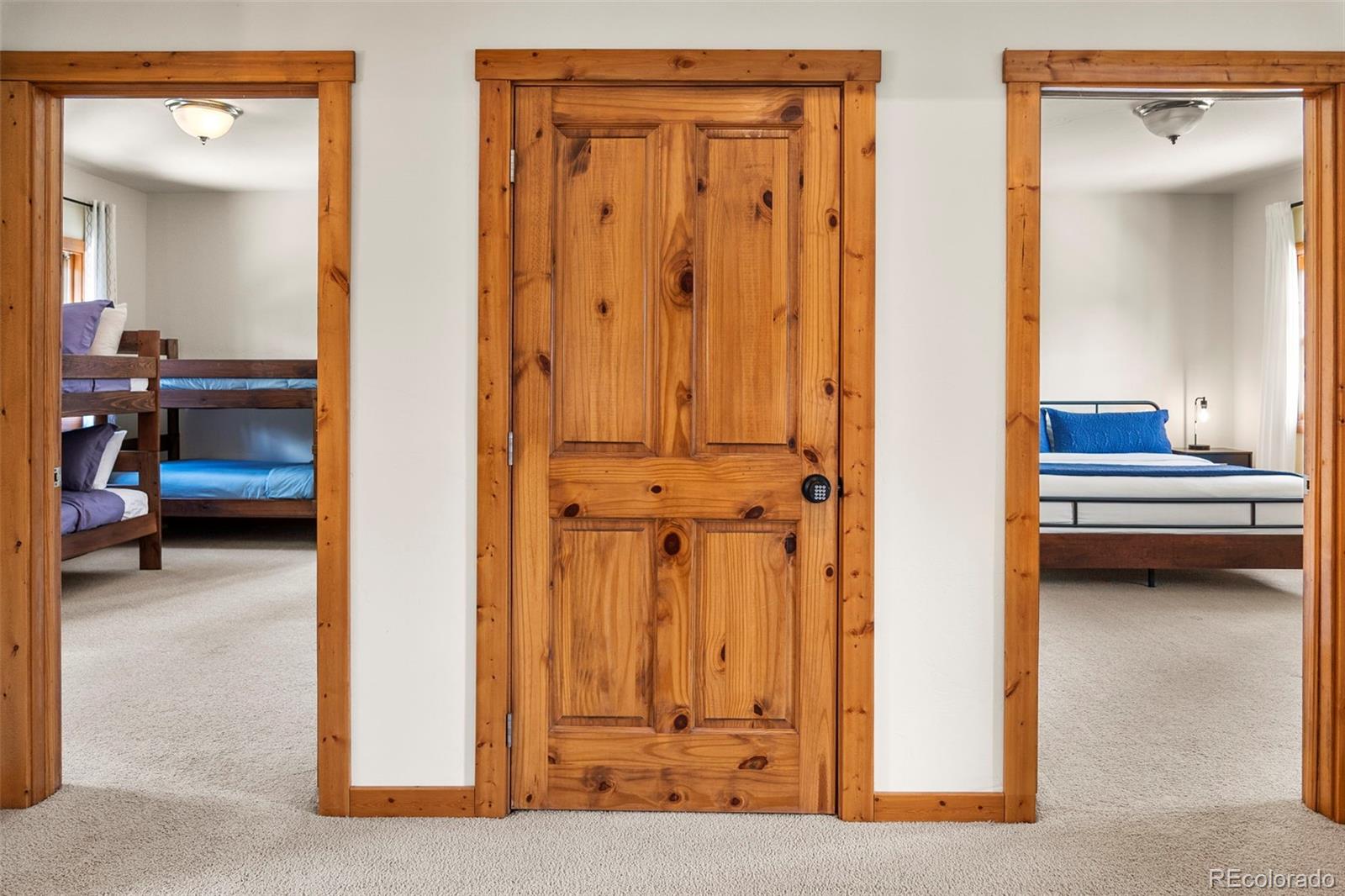 MLS Image #19 for 1564  valley of the sun drive,fairplay, Colorado