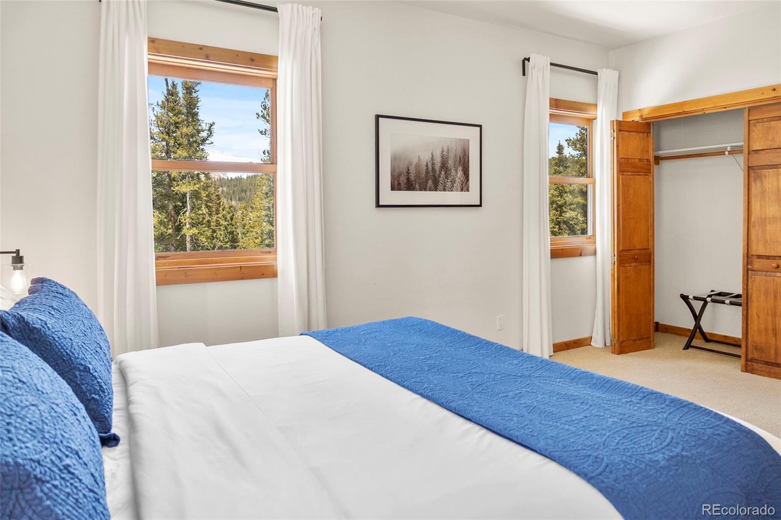 MLS Image #21 for 1564  valley of the sun drive,fairplay, Colorado