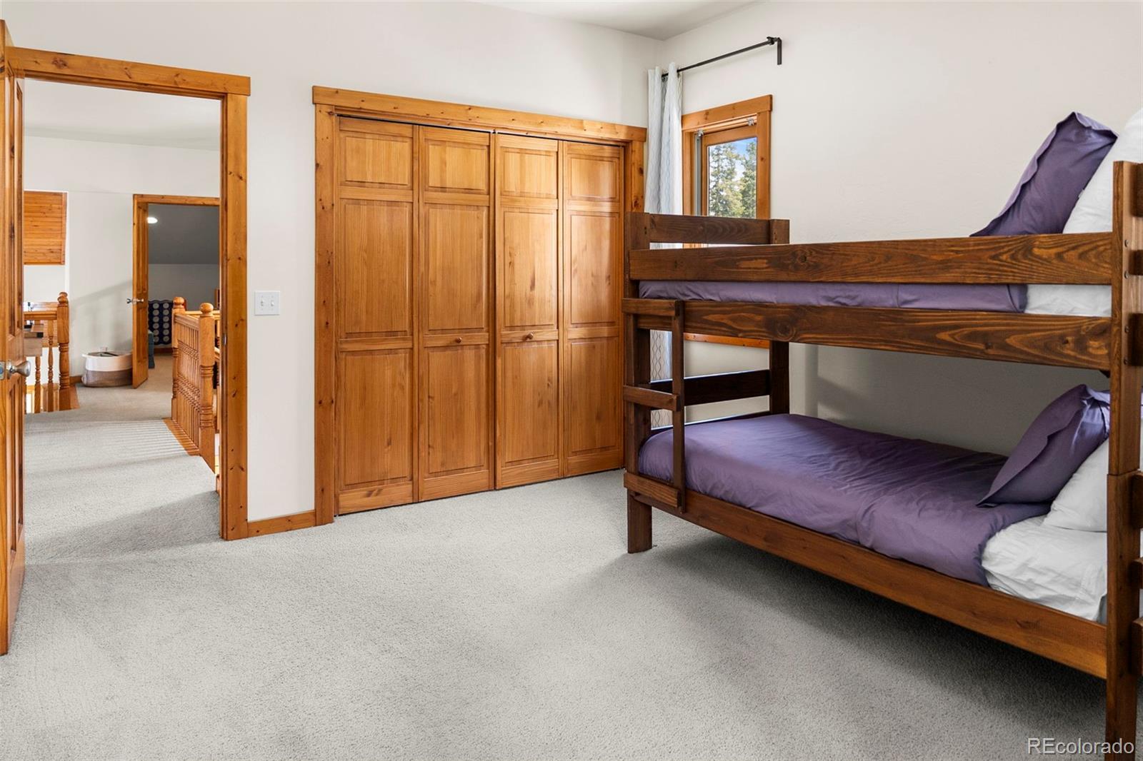 MLS Image #22 for 1564  valley of the sun drive,fairplay, Colorado