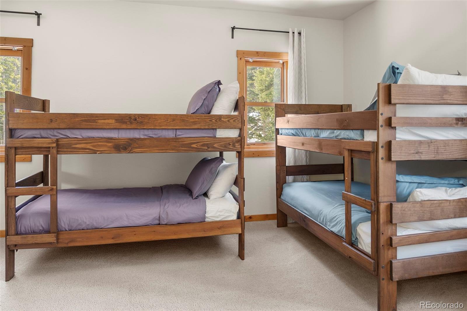MLS Image #23 for 1564  valley of the sun drive,fairplay, Colorado