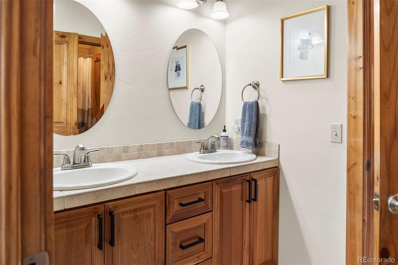 MLS Image #24 for 1564  valley of the sun drive,fairplay, Colorado