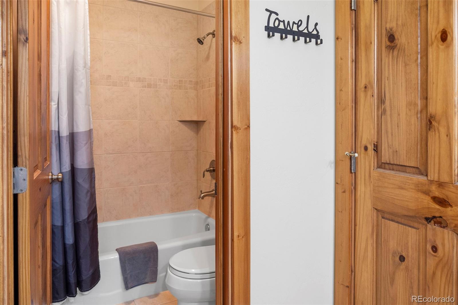 MLS Image #25 for 1564  valley of the sun drive,fairplay, Colorado