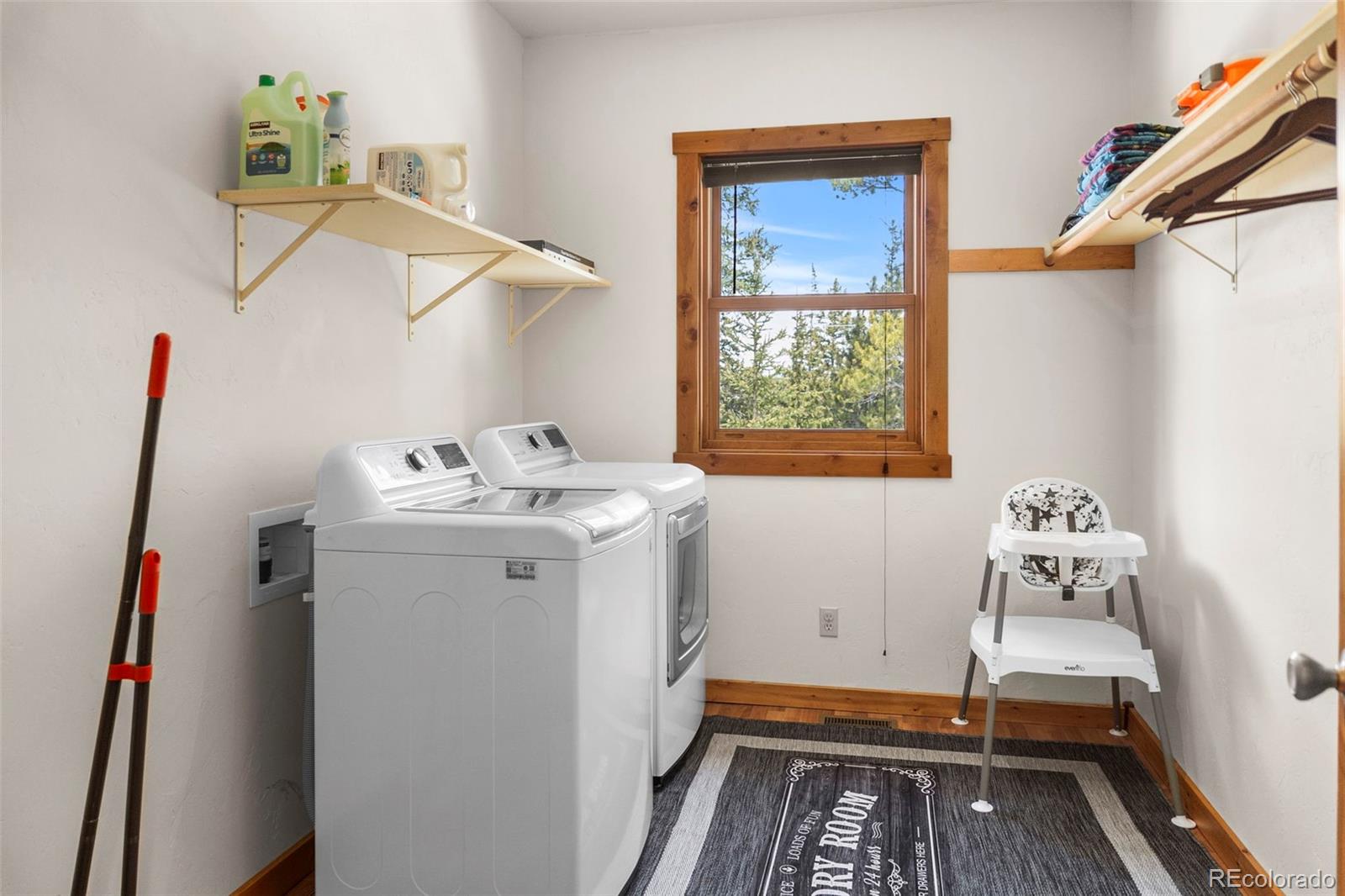 MLS Image #27 for 1564  valley of the sun drive,fairplay, Colorado