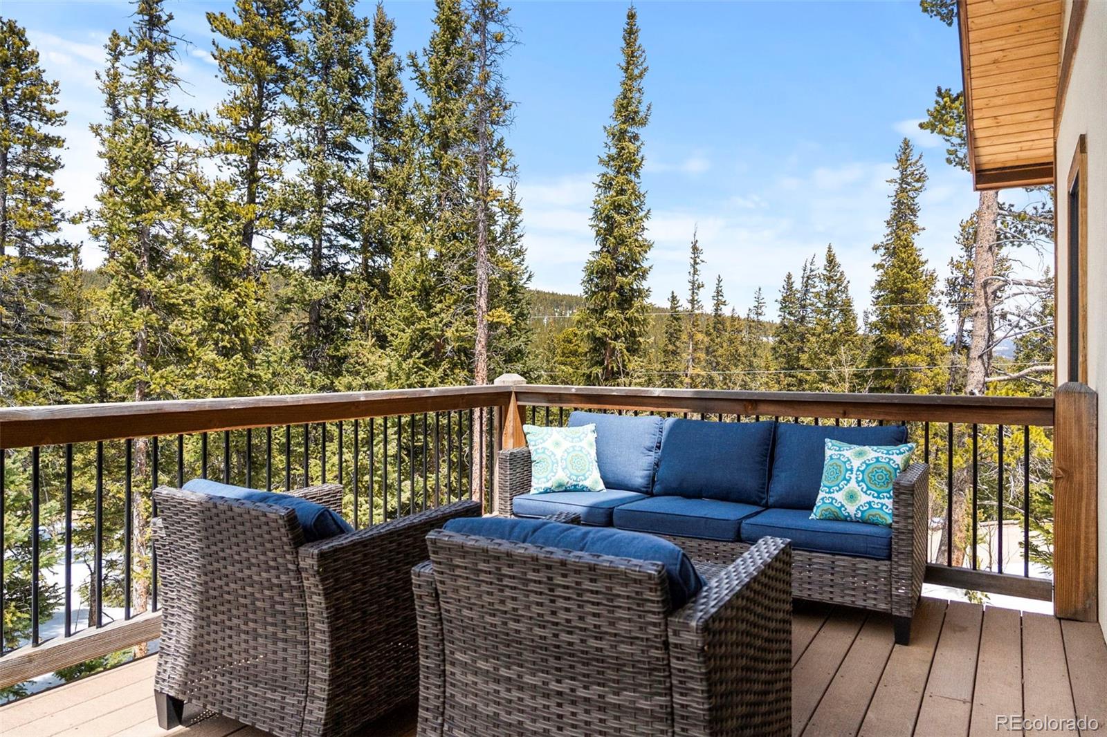 MLS Image #28 for 1564  valley of the sun drive,fairplay, Colorado