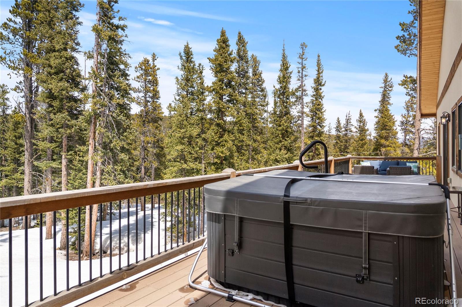 MLS Image #29 for 1564  valley of the sun drive,fairplay, Colorado