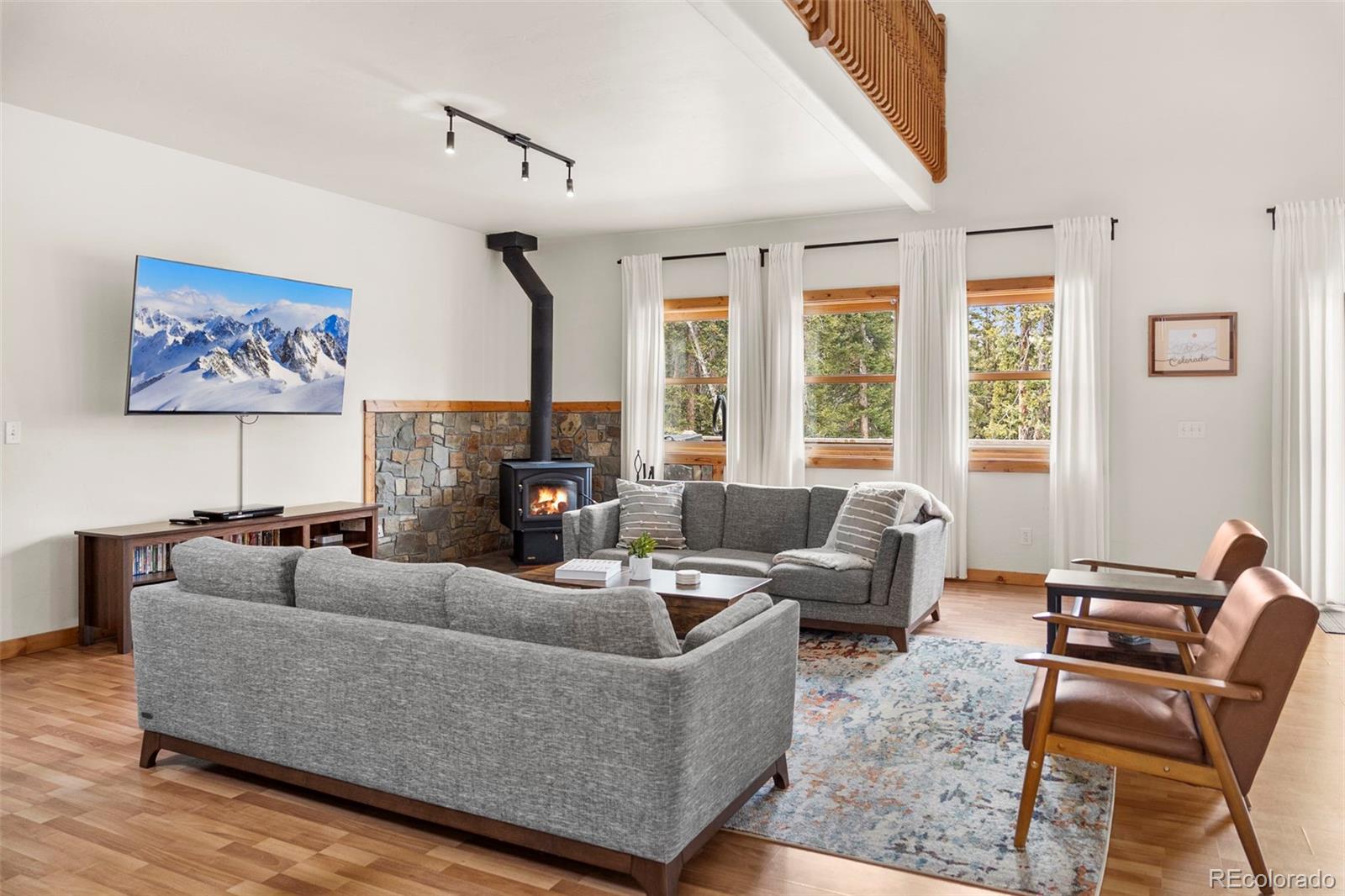 MLS Image #3 for 1564  valley of the sun drive,fairplay, Colorado