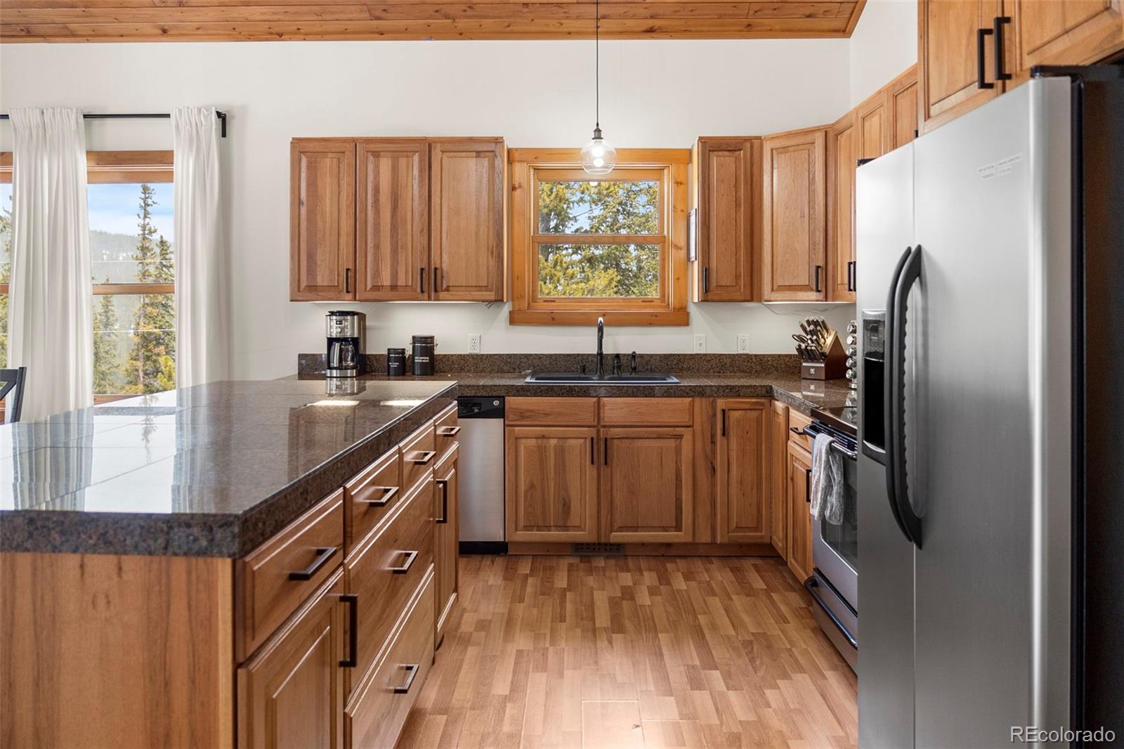 MLS Image #5 for 1564  valley of the sun drive,fairplay, Colorado
