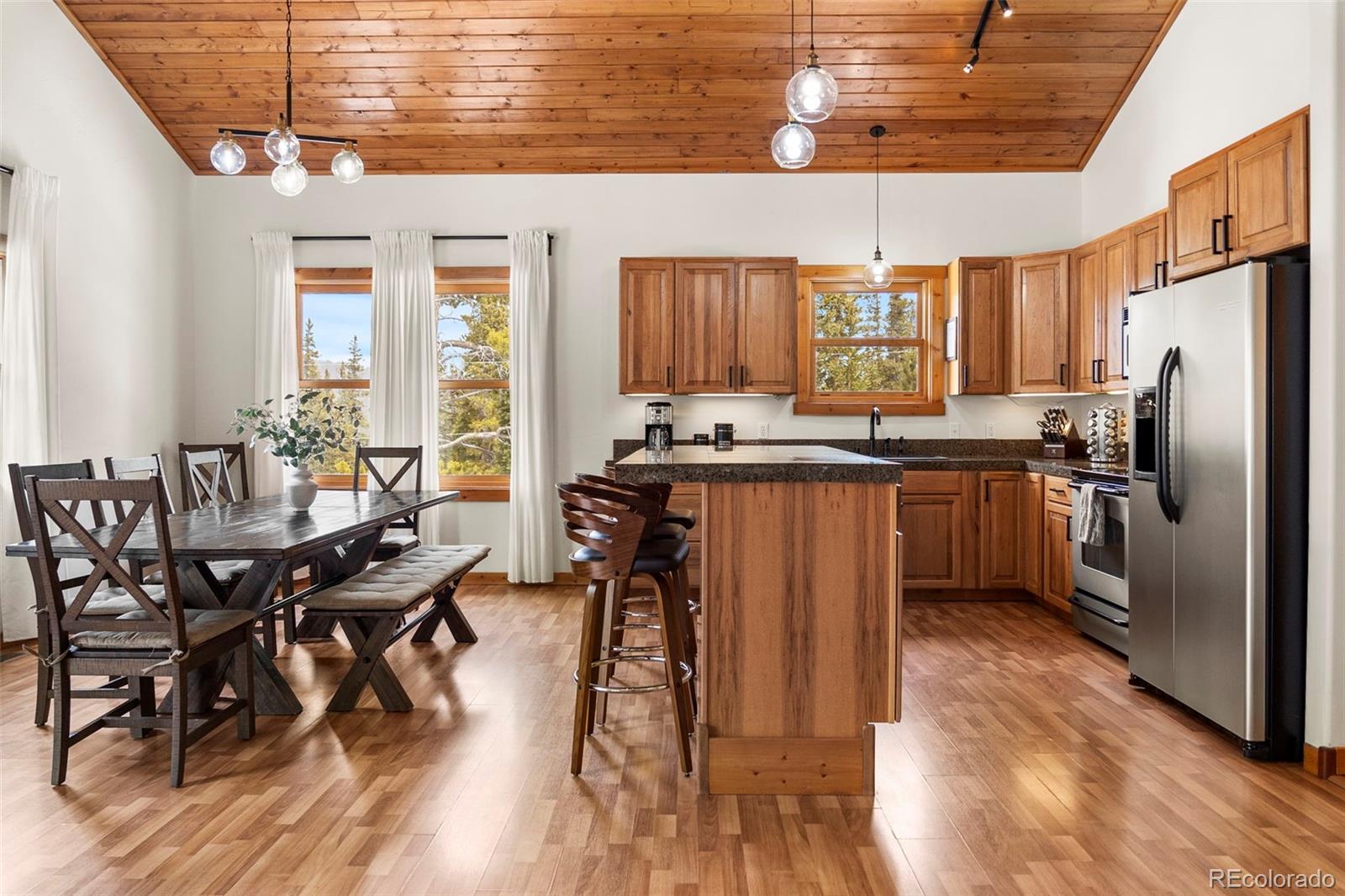 MLS Image #6 for 1564  valley of the sun drive,fairplay, Colorado