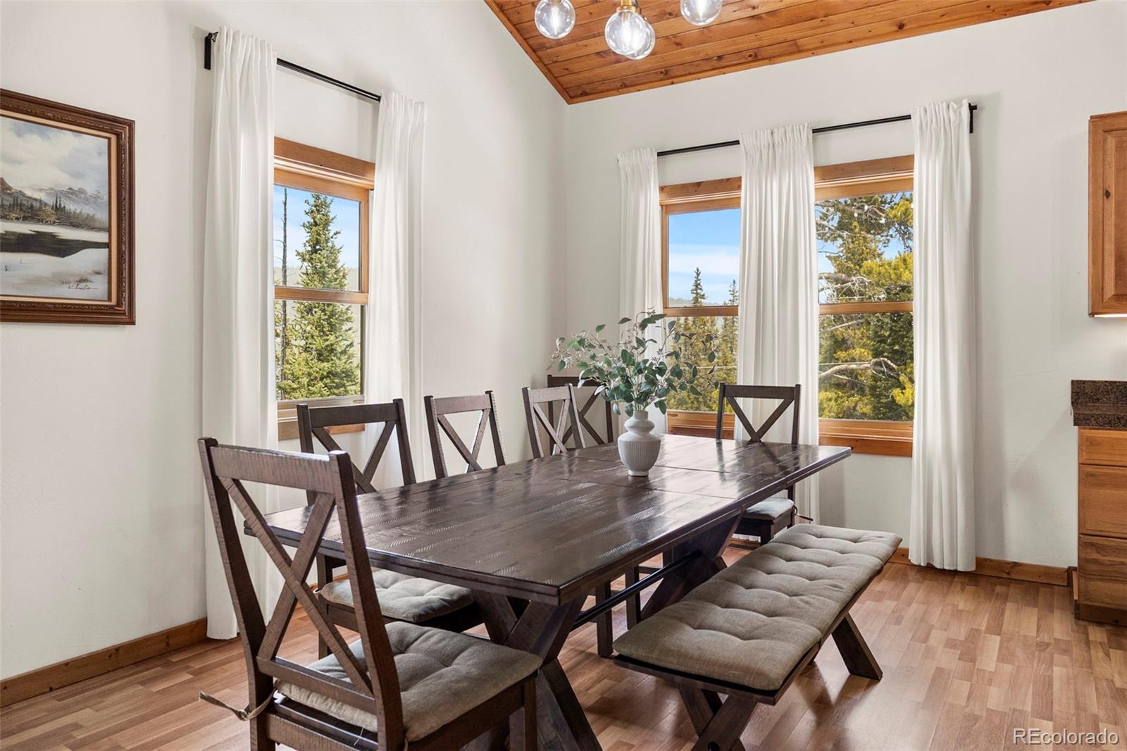 MLS Image #7 for 1564  valley of the sun drive,fairplay, Colorado