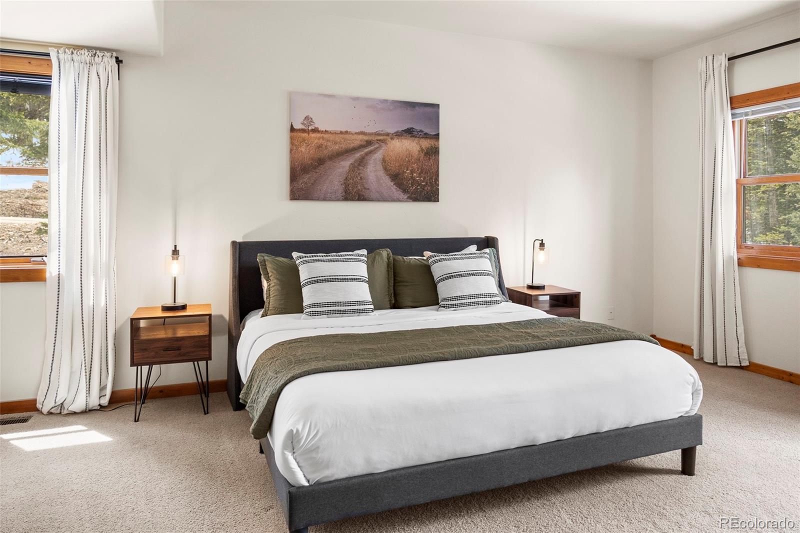 MLS Image #8 for 1564  valley of the sun drive,fairplay, Colorado