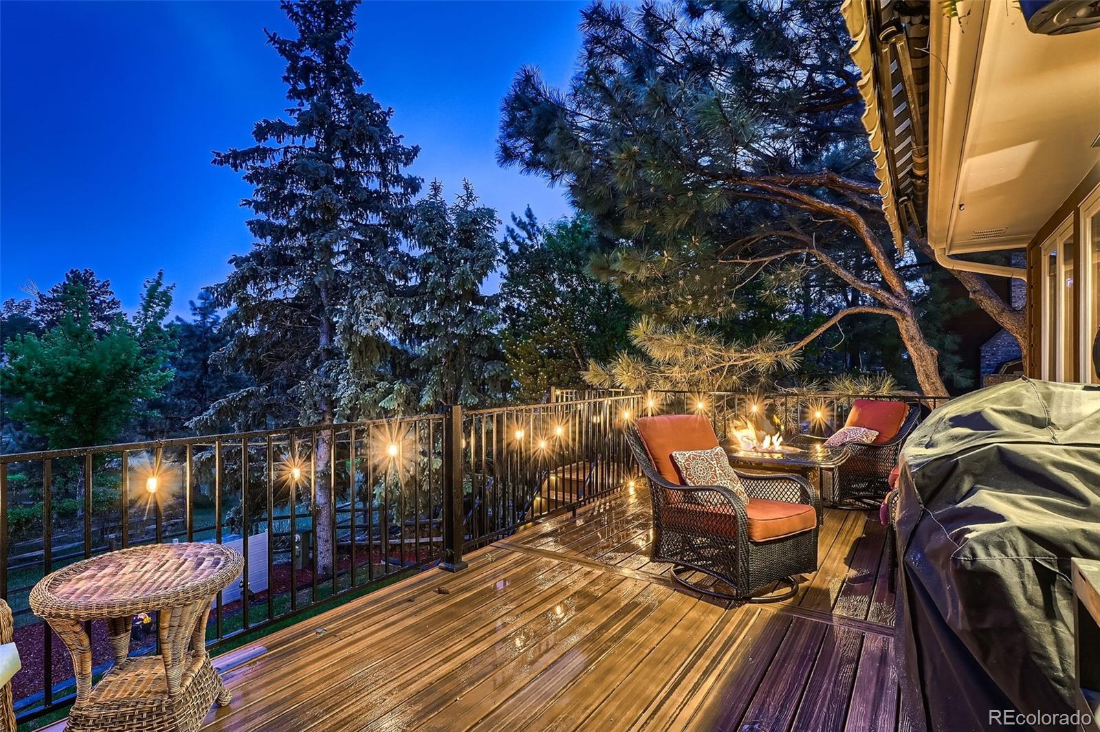 MLS Image #13 for 9658  coronado court,parker, Colorado