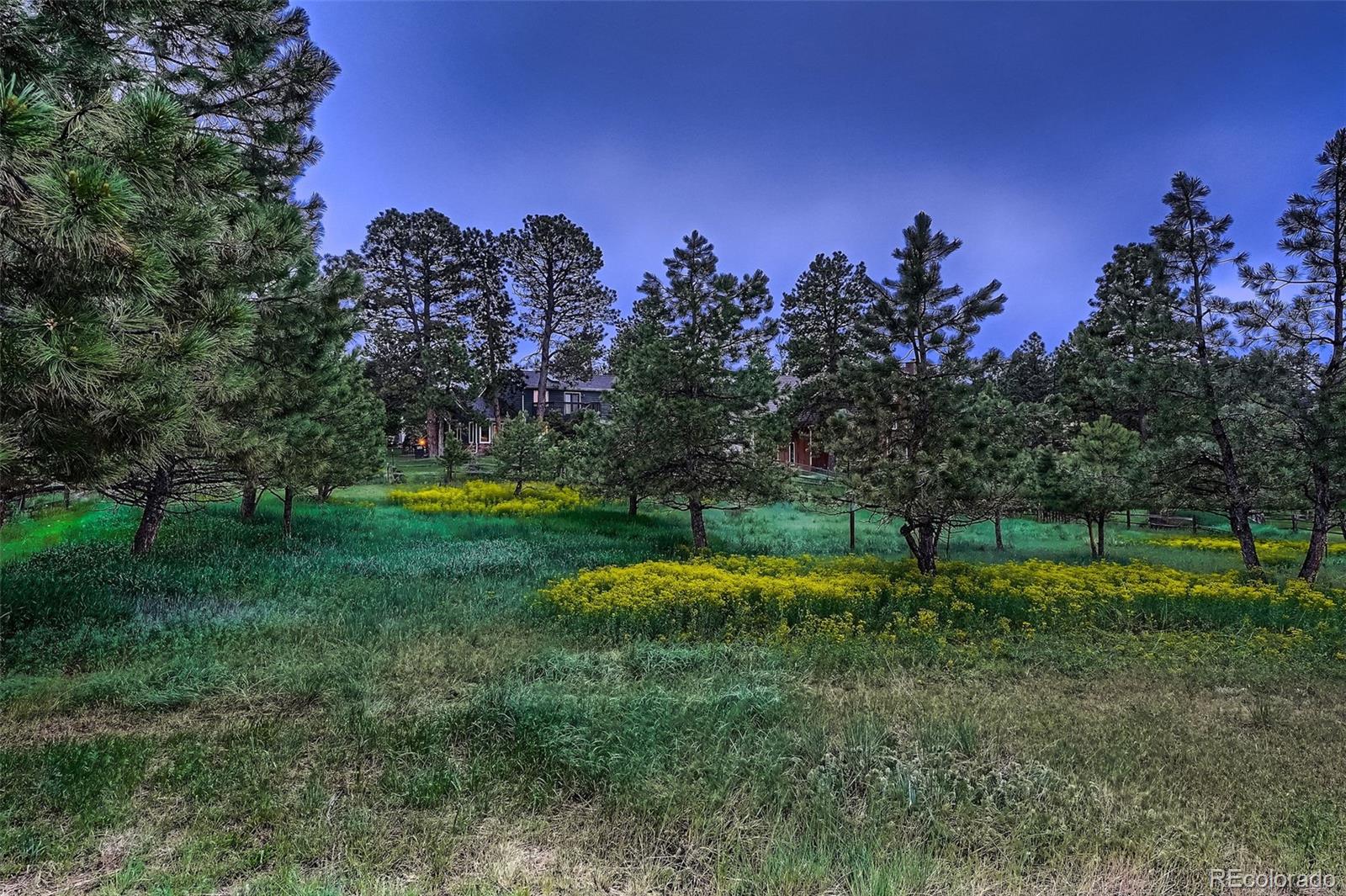 MLS Image #15 for 9658  coronado court,parker, Colorado