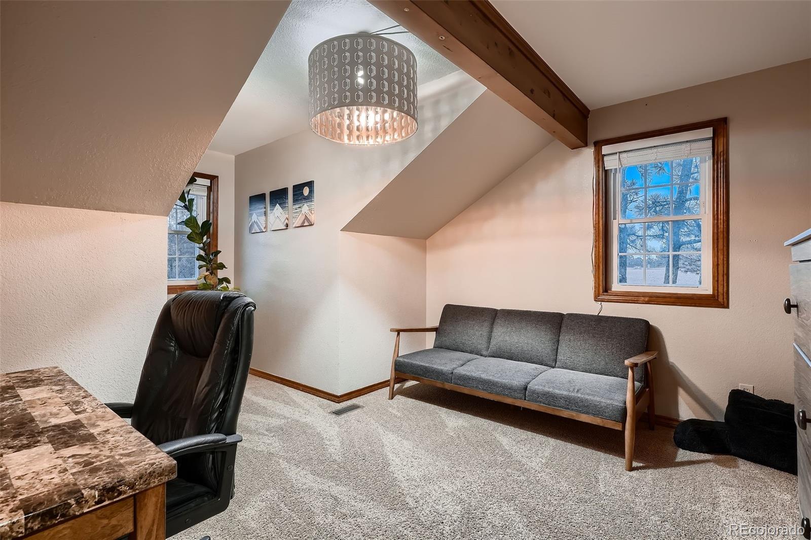 MLS Image #20 for 9658  coronado court,parker, Colorado