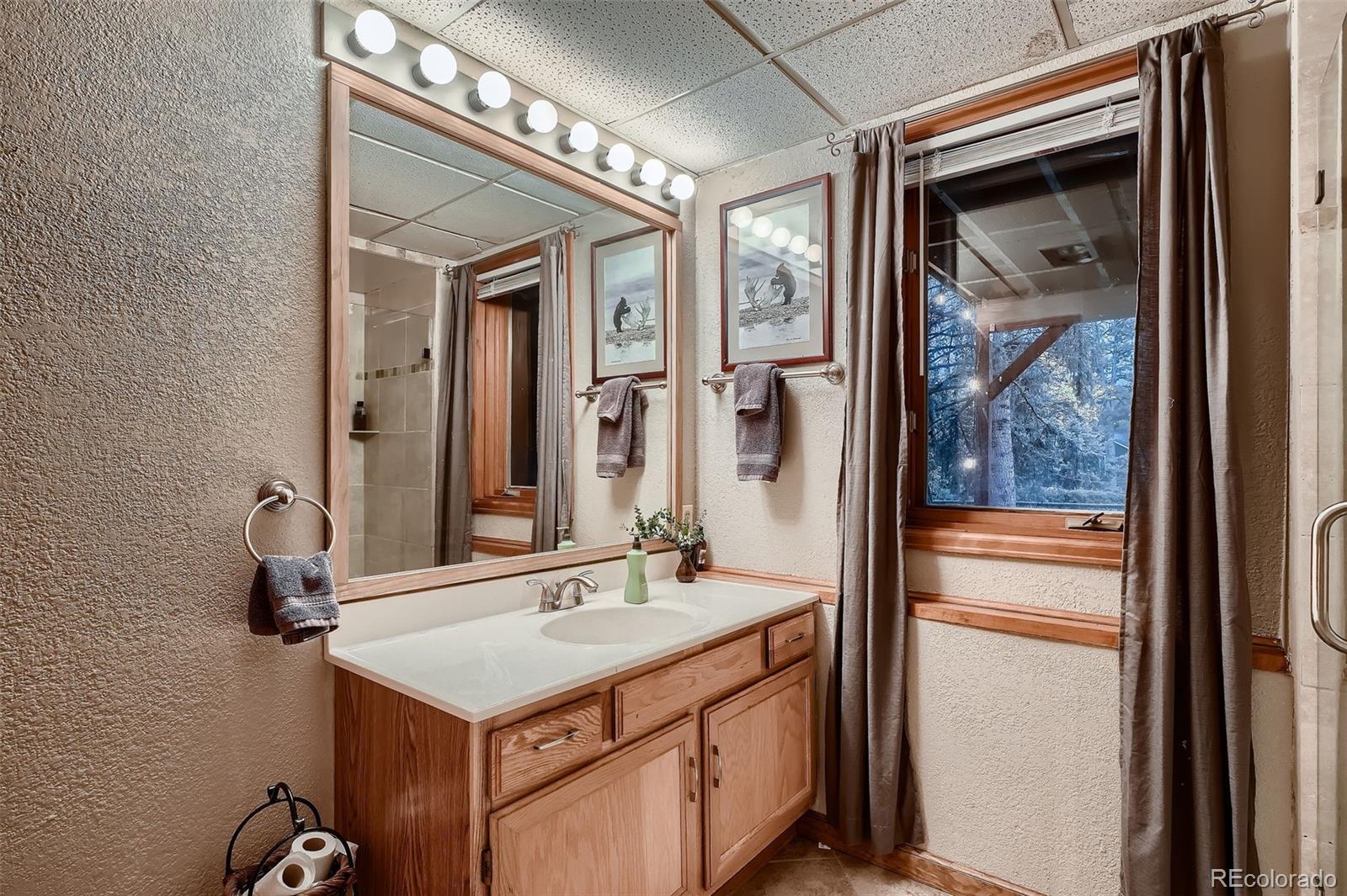 MLS Image #23 for 9658  coronado court,parker, Colorado