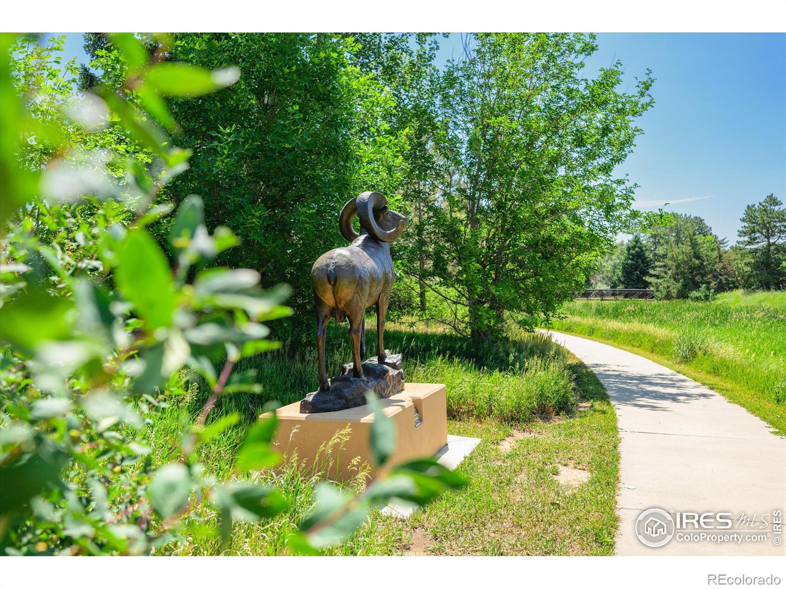 MLS Image #37 for 1955  buena vista place,loveland, Colorado