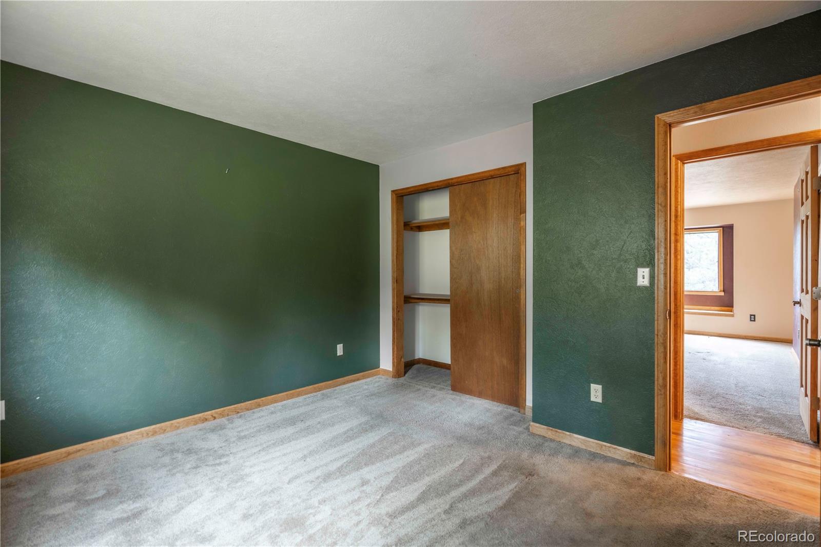 MLS Image #12 for 917  bluebird lane,bailey, Colorado