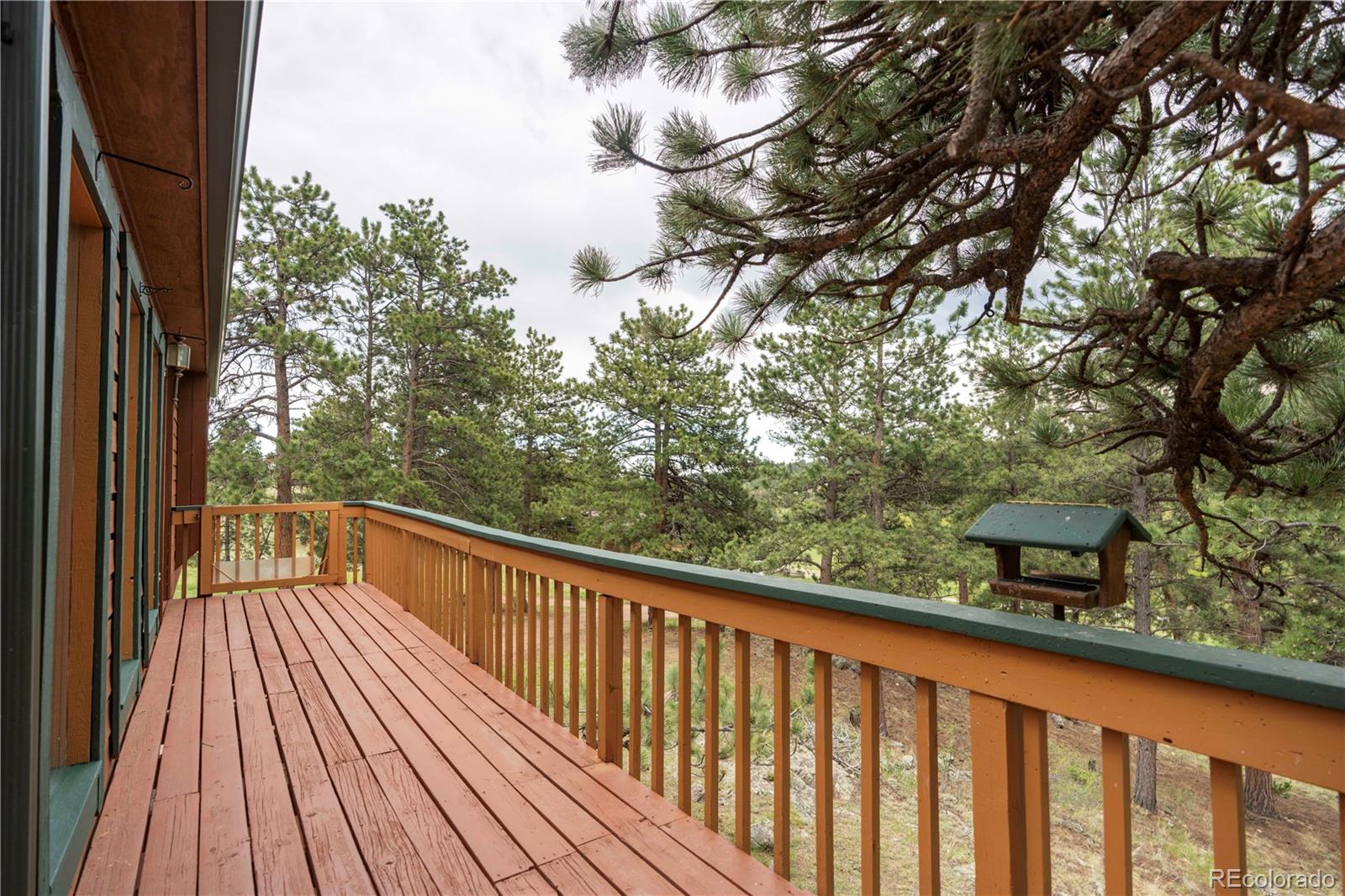 MLS Image #23 for 917  bluebird lane,bailey, Colorado