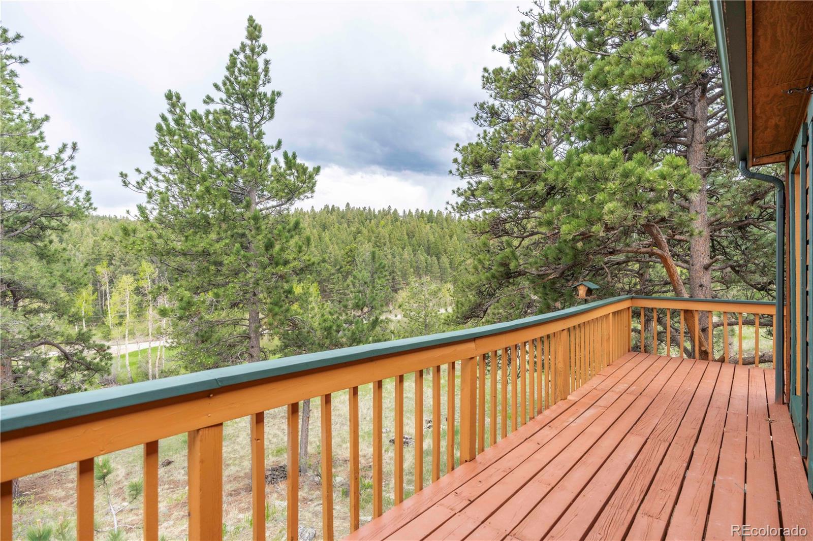 MLS Image #24 for 917  bluebird lane,bailey, Colorado