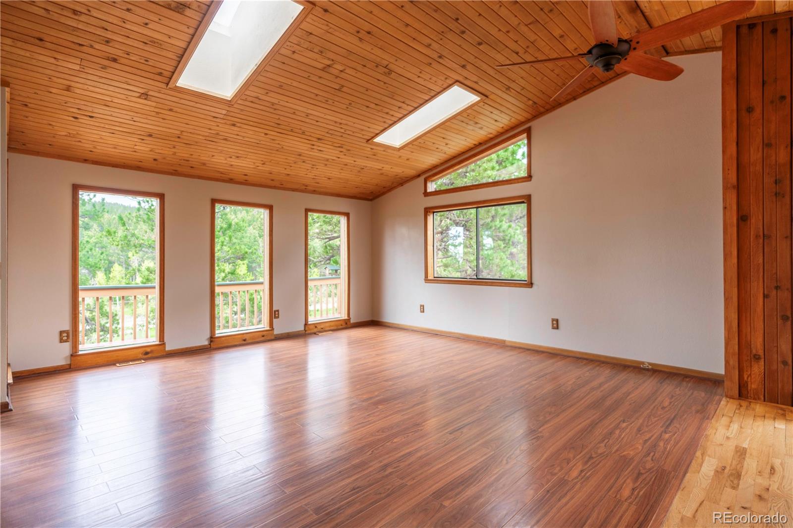 MLS Image #3 for 917  bluebird lane,bailey, Colorado