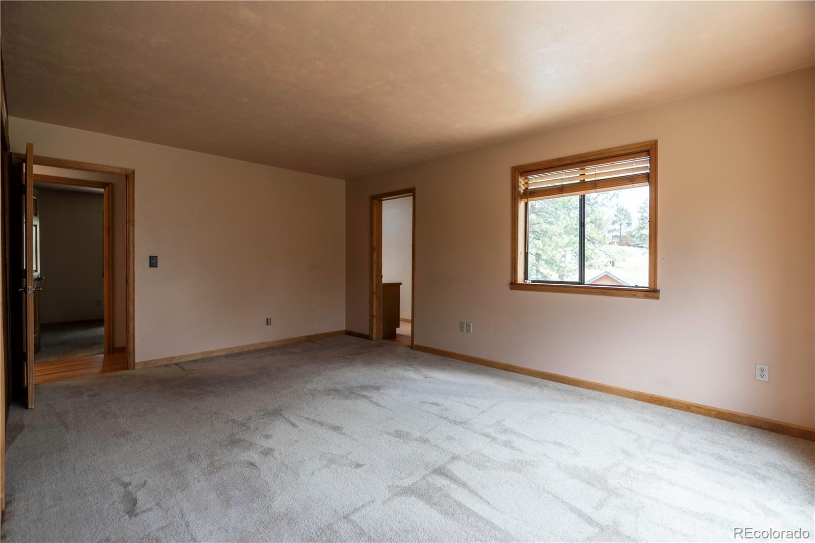 MLS Image #7 for 917  bluebird lane,bailey, Colorado