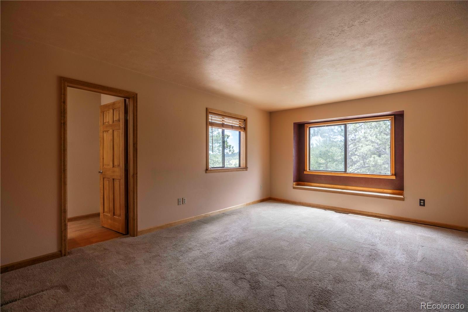 MLS Image #9 for 917  bluebird lane,bailey, Colorado