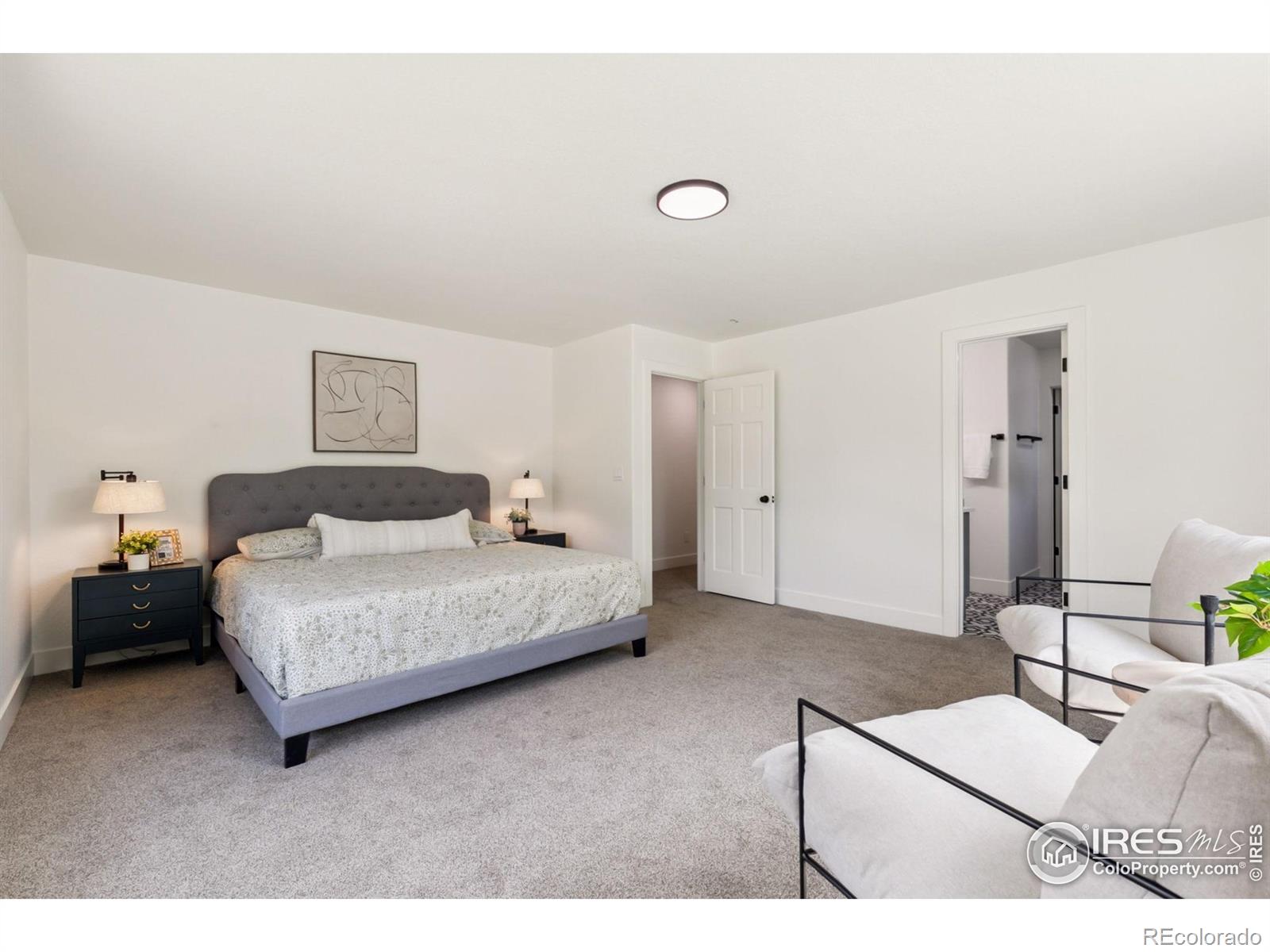 MLS Image #13 for 3560  gold hill drive,loveland, Colorado