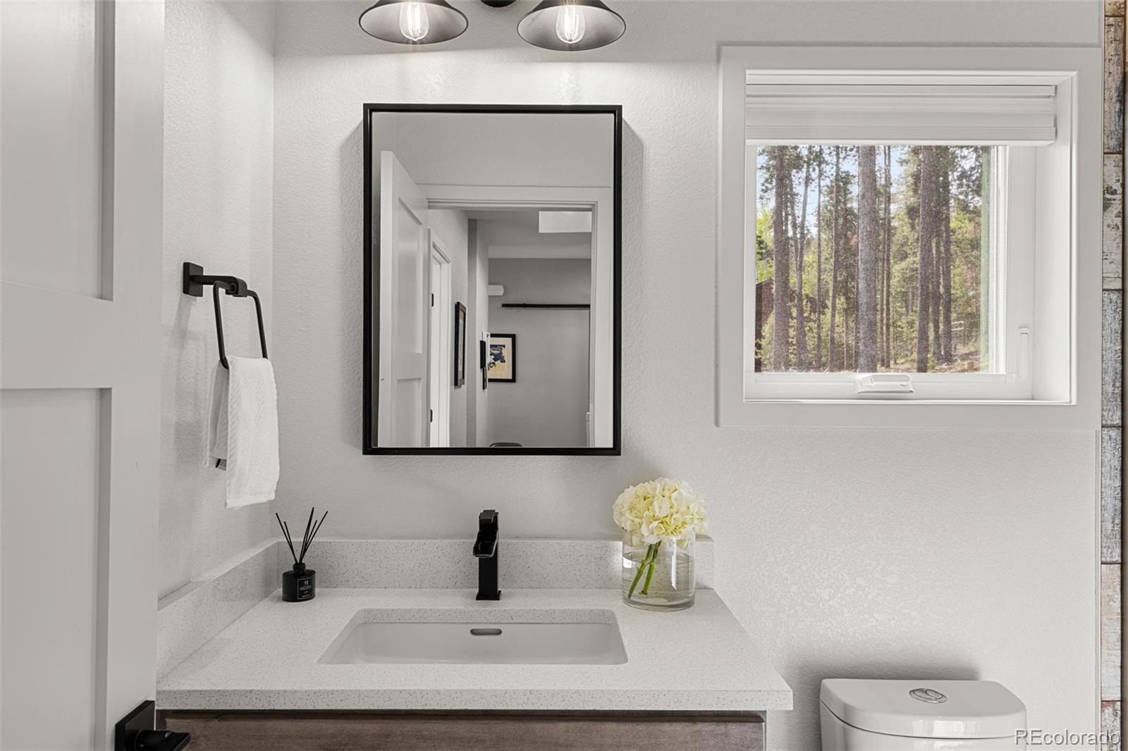 MLS Image #11 for 6803  snowshoe trail,evergreen, Colorado