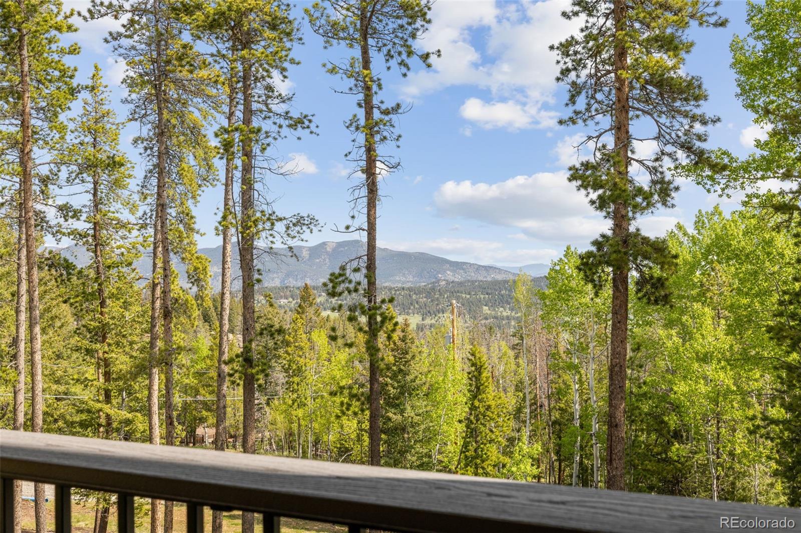 MLS Image #26 for 6803  snowshoe trail,evergreen, Colorado