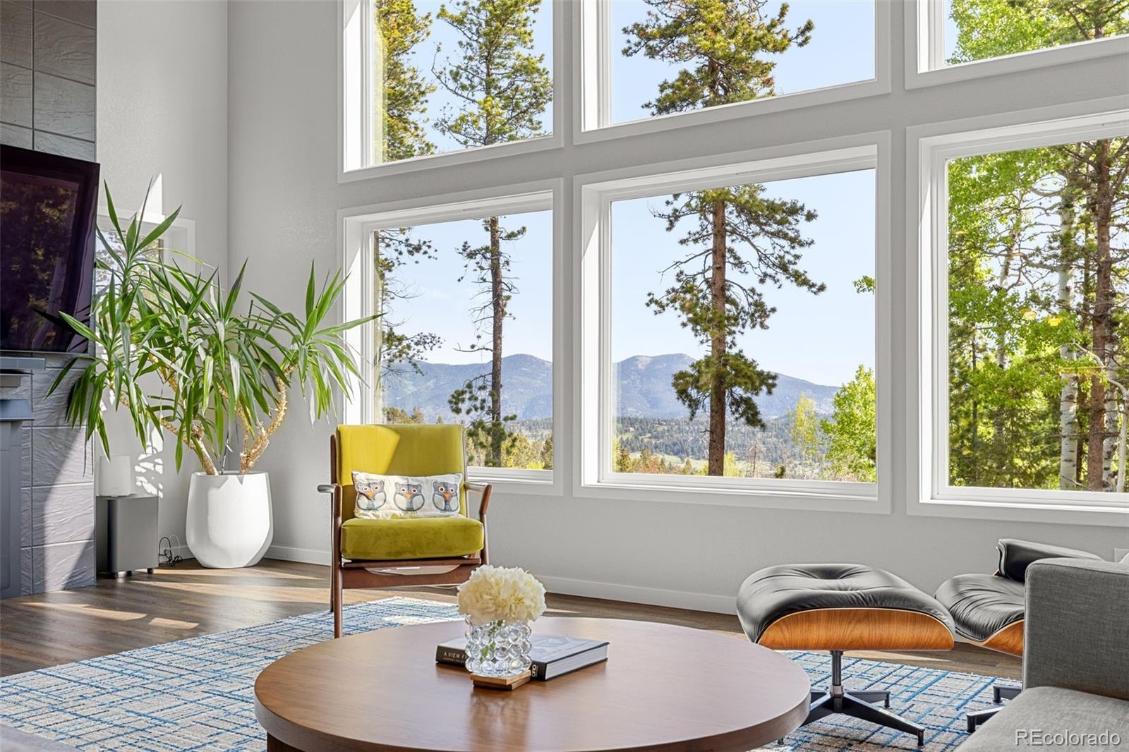 MLS Image #5 for 6803  snowshoe trail,evergreen, Colorado