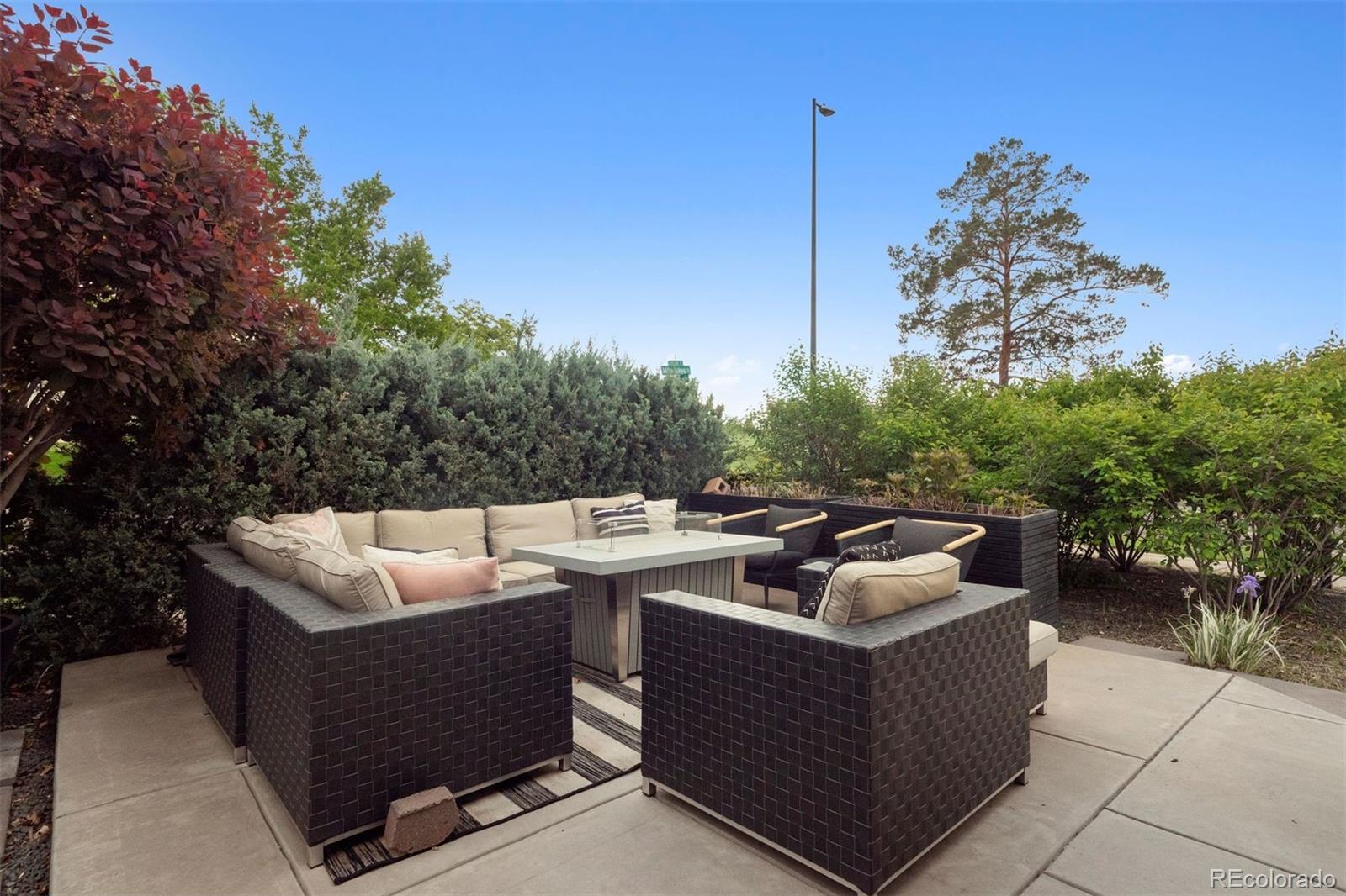 MLS Image #6 for 2945 e 26th avenue parkway,denver, Colorado