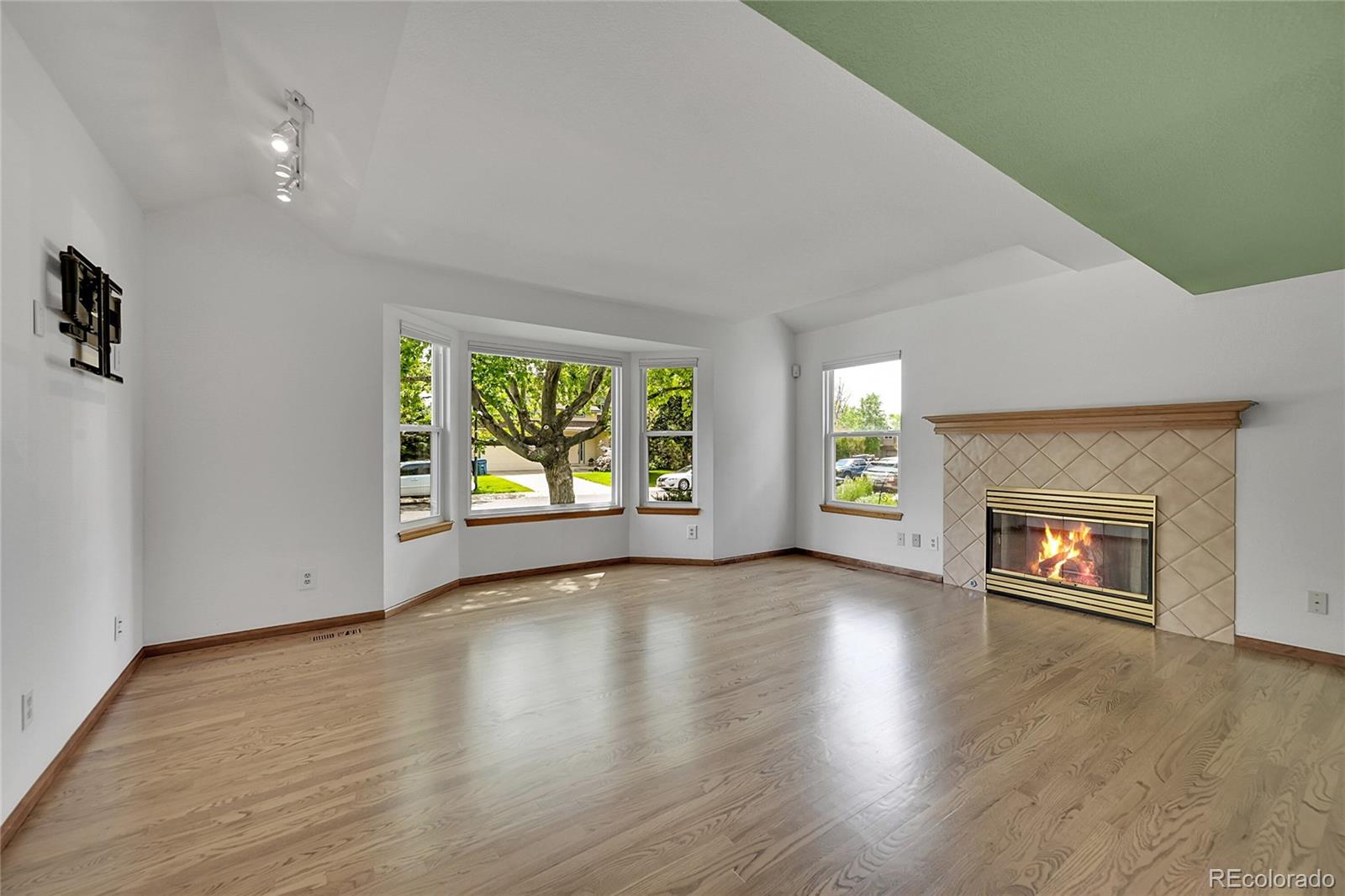 MLS Image #6 for 379  lincoln court,louisville, Colorado