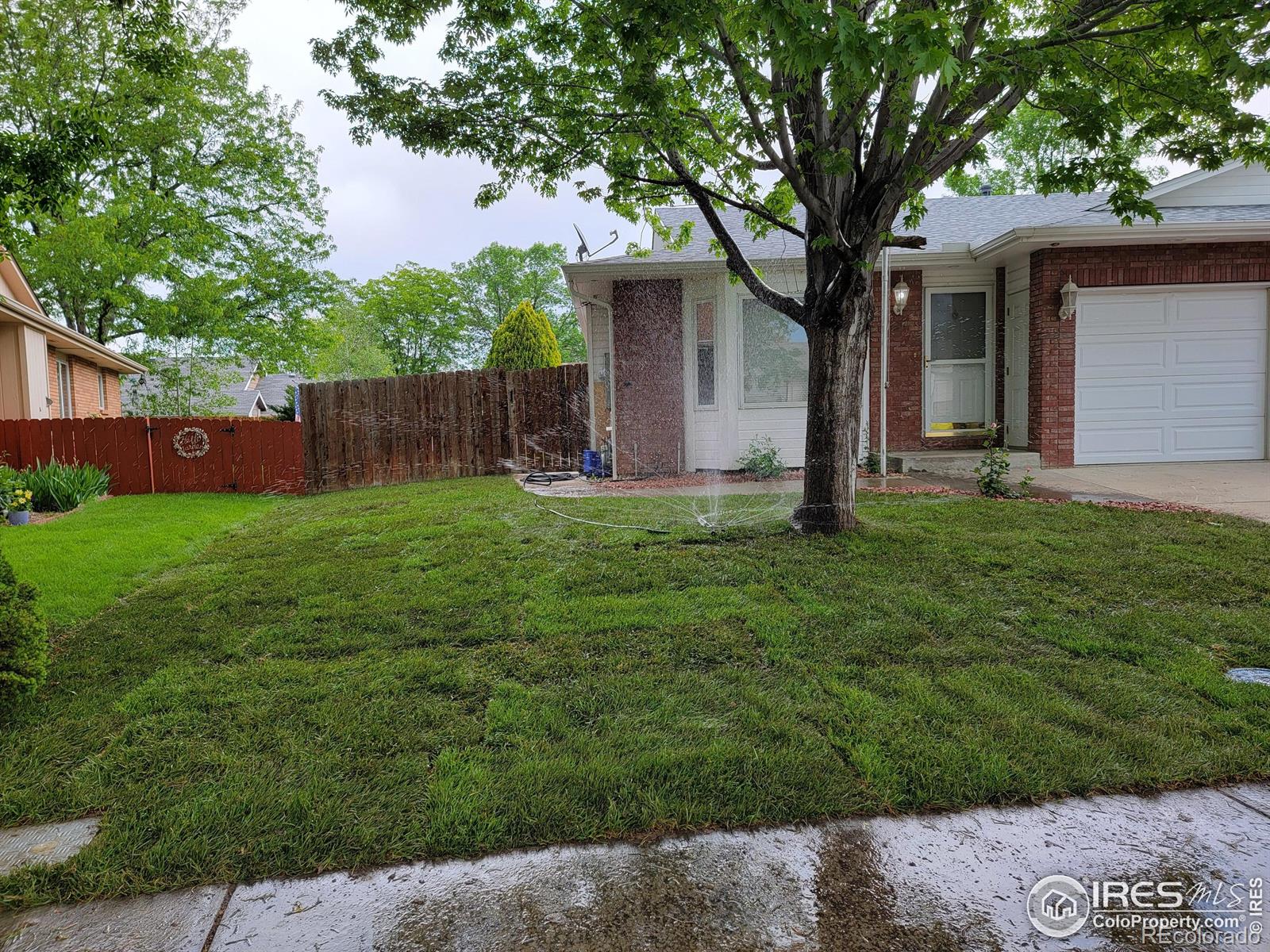 MLS Image #1 for 1126  patricia drive,loveland, Colorado