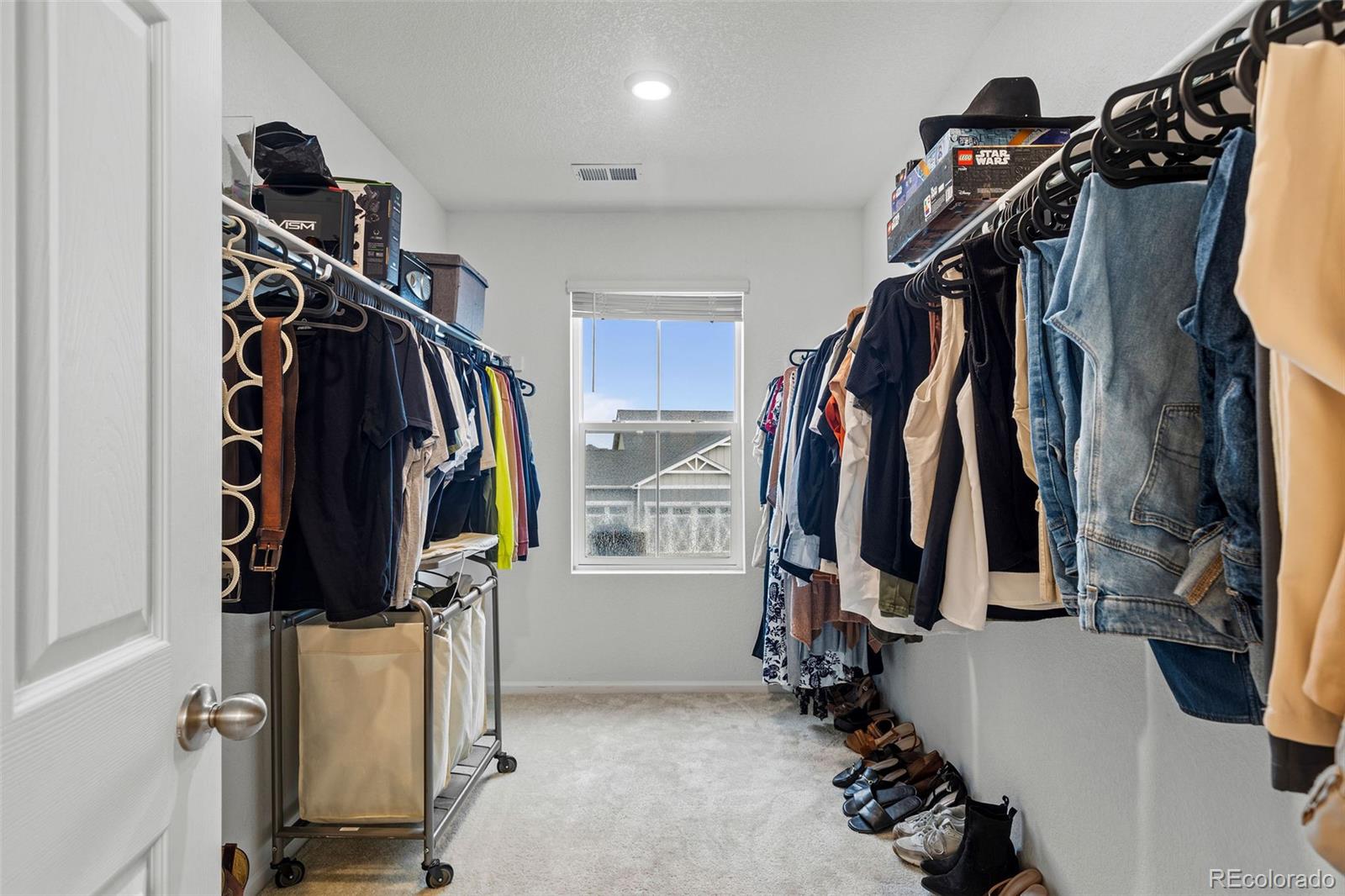 MLS Image #14 for 1228  argali drive,severance, Colorado