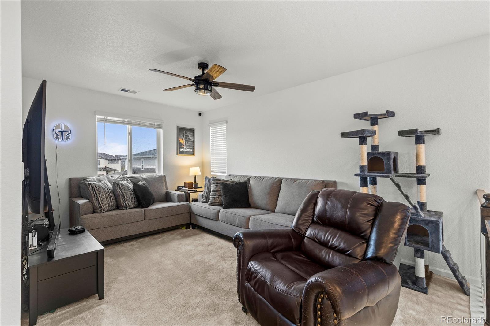 MLS Image #18 for 1228  argali drive,severance, Colorado
