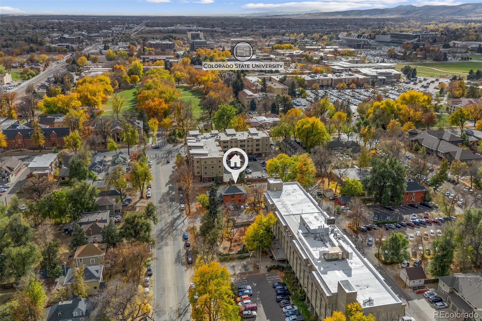 MLS Image #2 for 629 s howes street,fort collins, Colorado