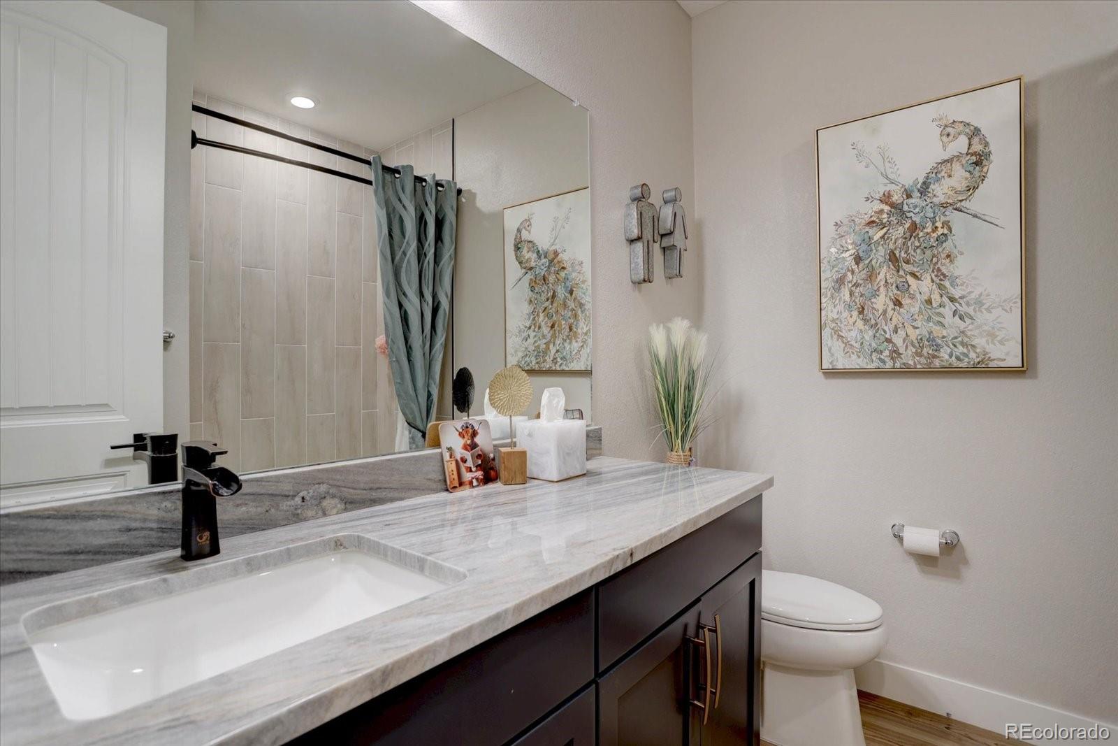 MLS Image #13 for 527  felicity loop,castle rock, Colorado