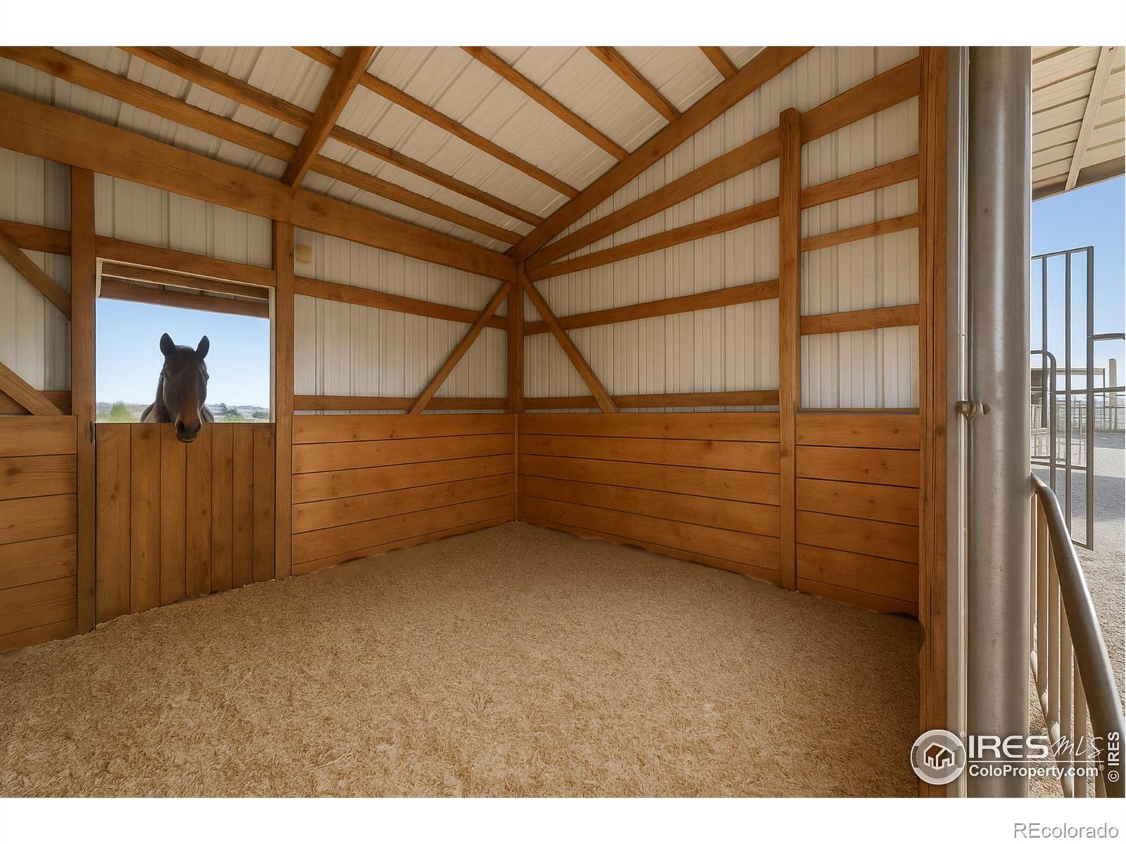 MLS Image #26 for 3401 e county road 16 ,loveland, Colorado