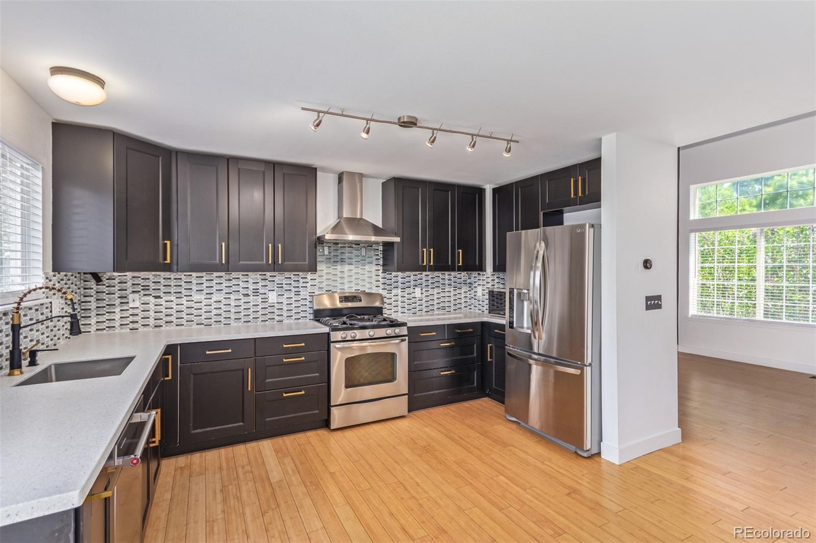 MLS Image #13 for 4935  apollo bay drive,highlands ranch, Colorado