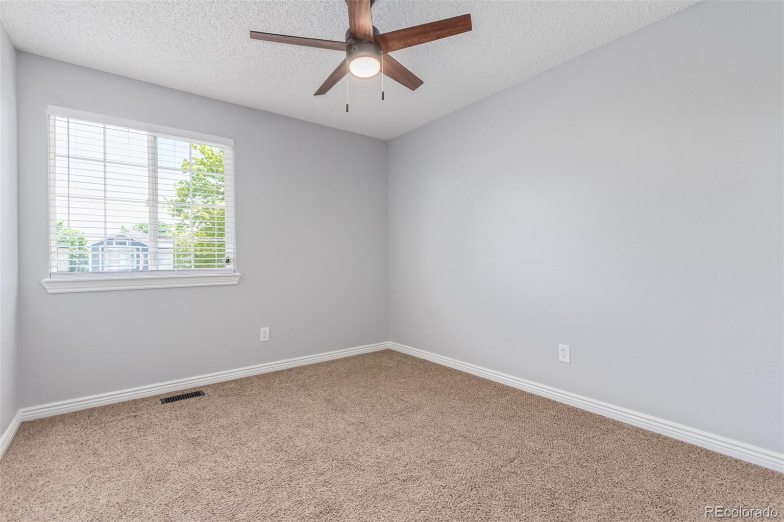 MLS Image #22 for 4935  apollo bay drive,highlands ranch, Colorado