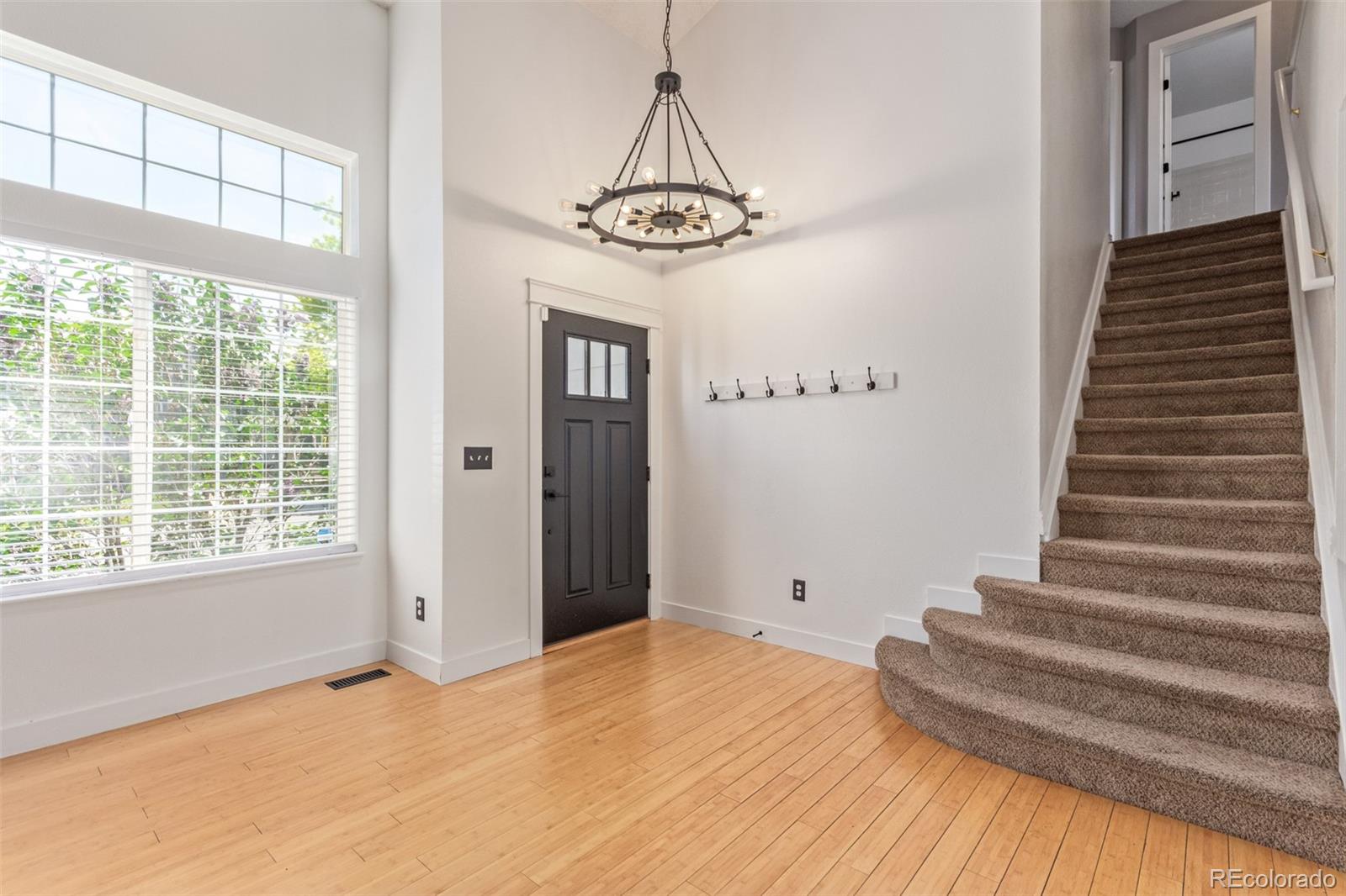 MLS Image #7 for 4935  apollo bay drive,highlands ranch, Colorado