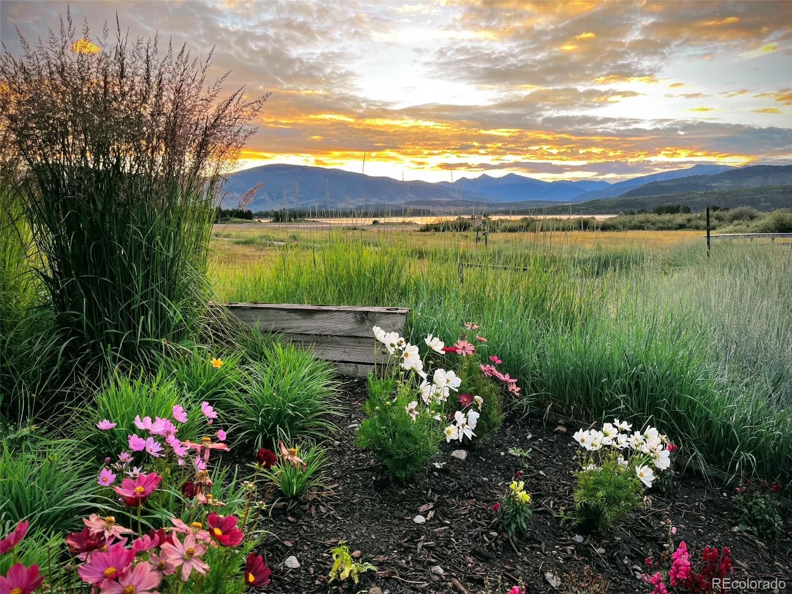 MLS Image #1 for 980  lakepoint drive,frisco, Colorado