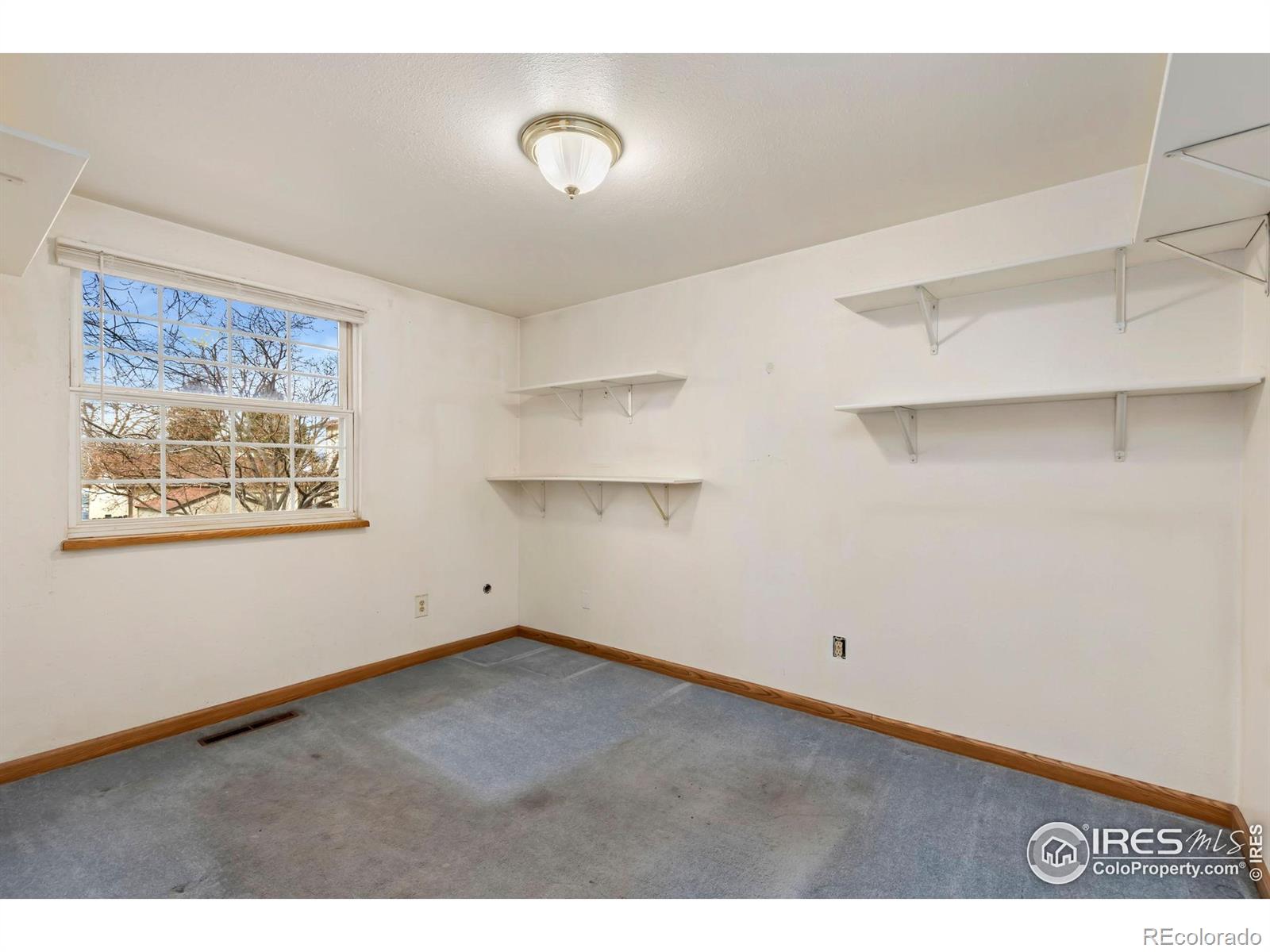 MLS Image #10 for 911  timber court,longmont, Colorado