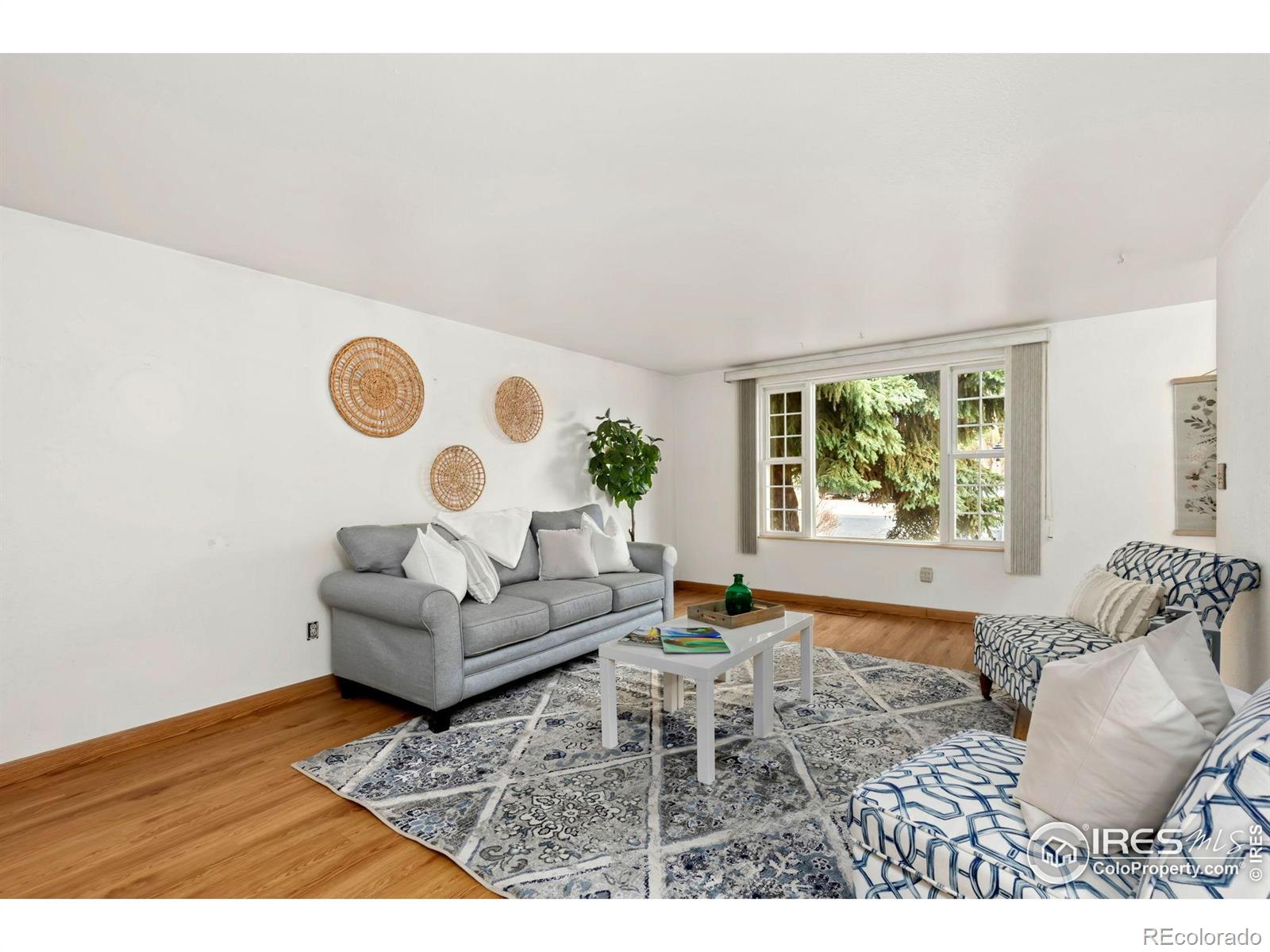 MLS Image #2 for 911  timber court,longmont, Colorado