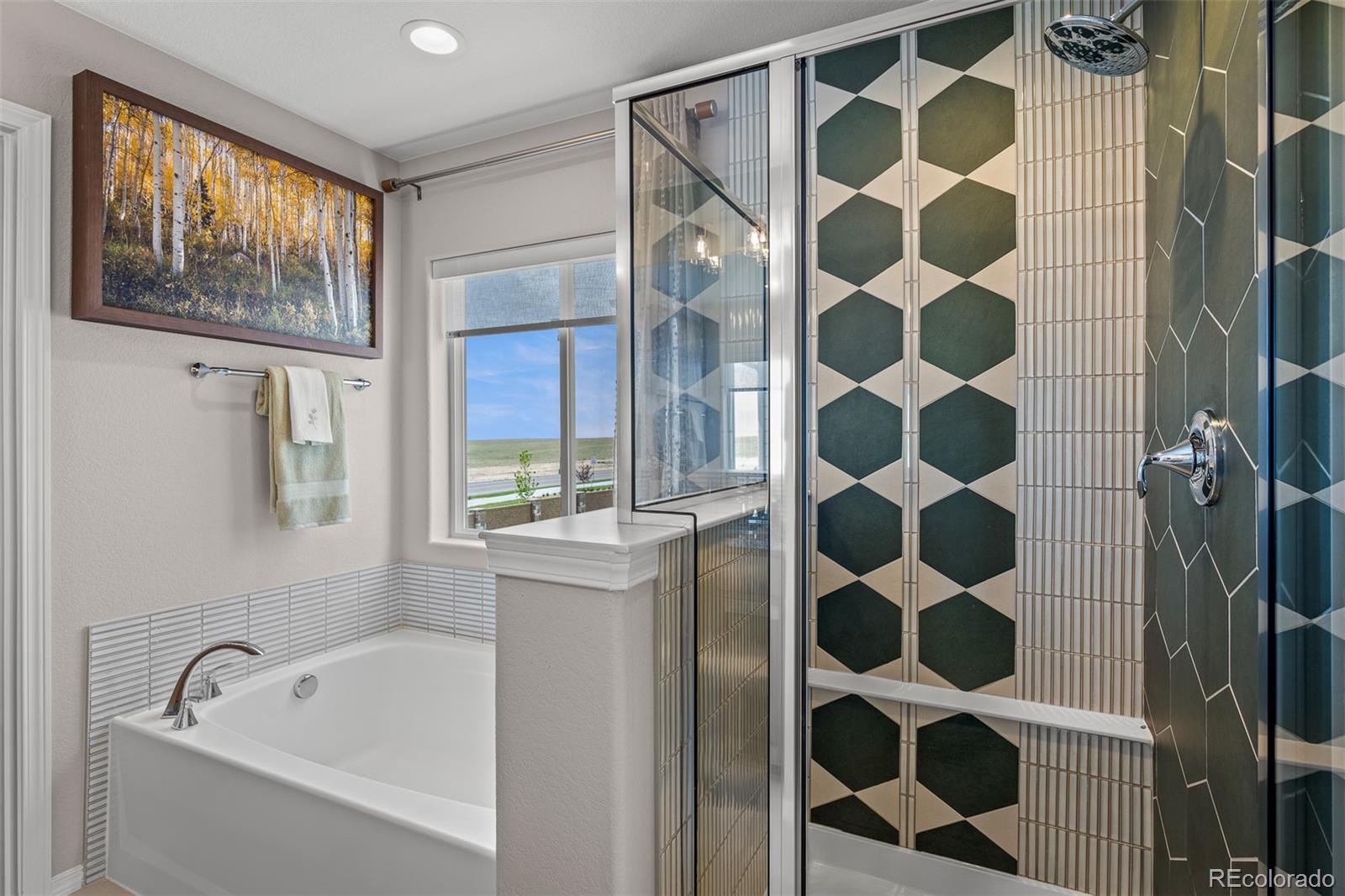 MLS Image #29 for 9389  mayflower gulch way,colorado springs, Colorado