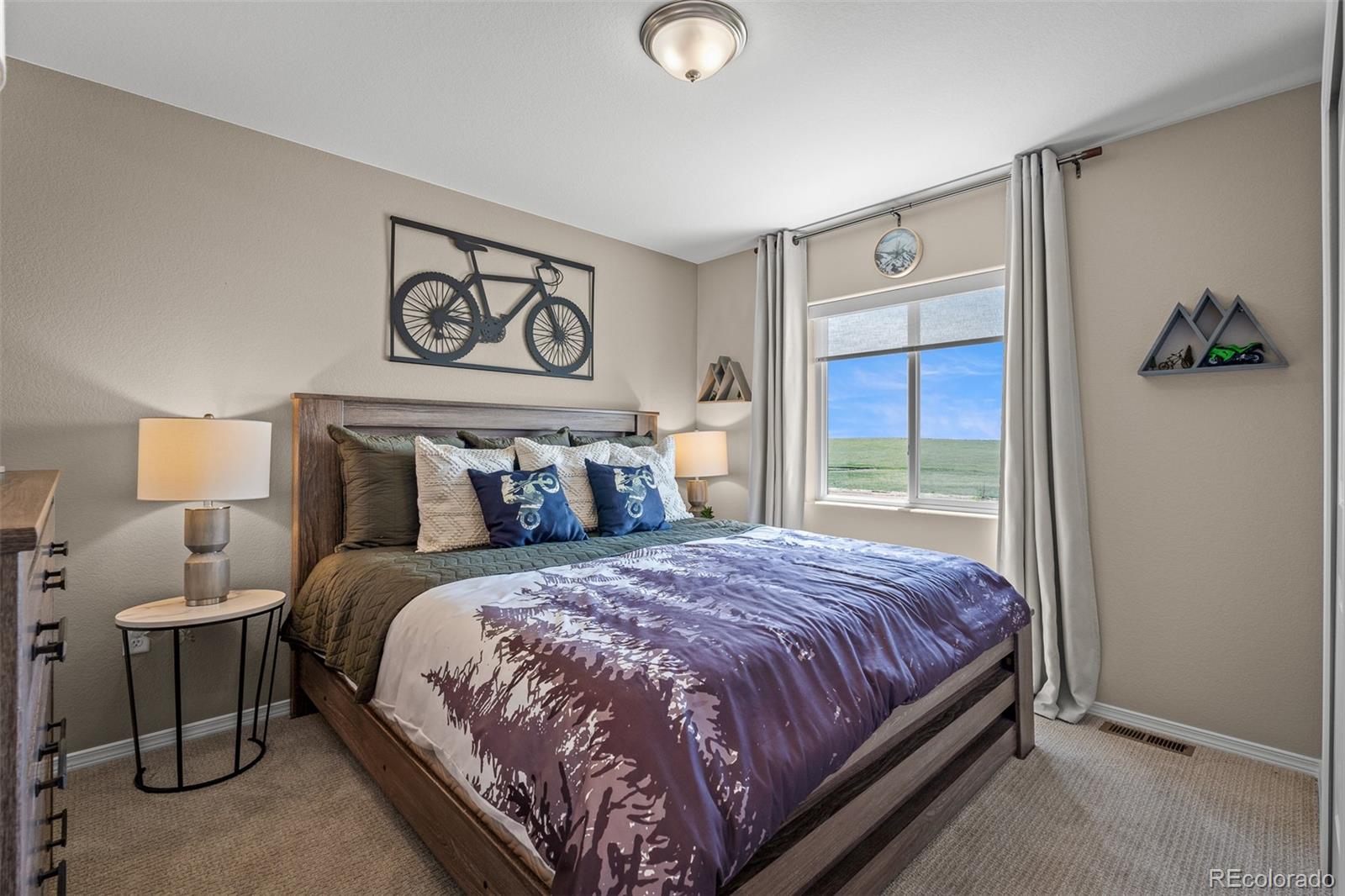 MLS Image #31 for 9389  mayflower gulch way,colorado springs, Colorado